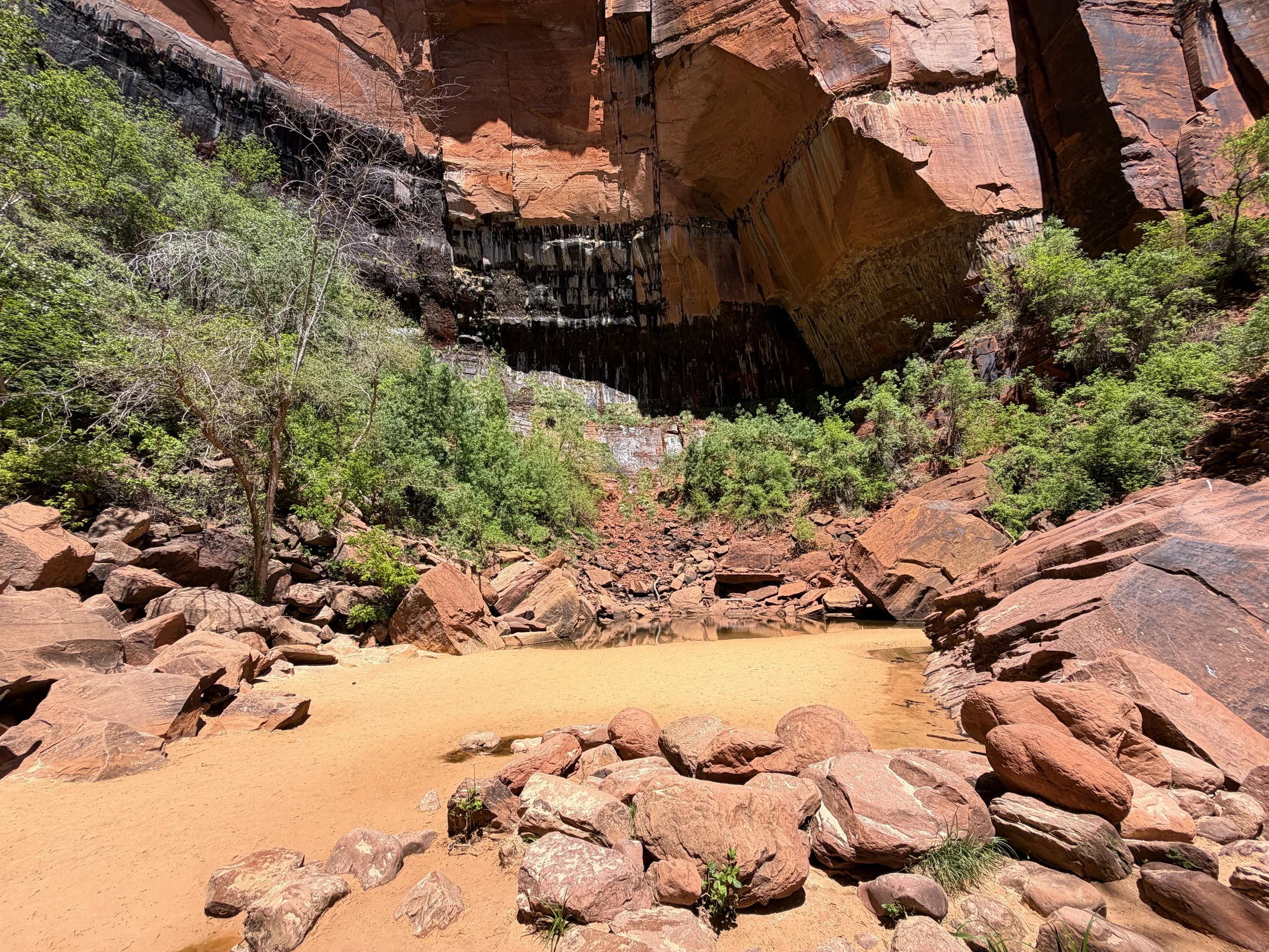 Upper Emerald Pool Zion National Park Utah