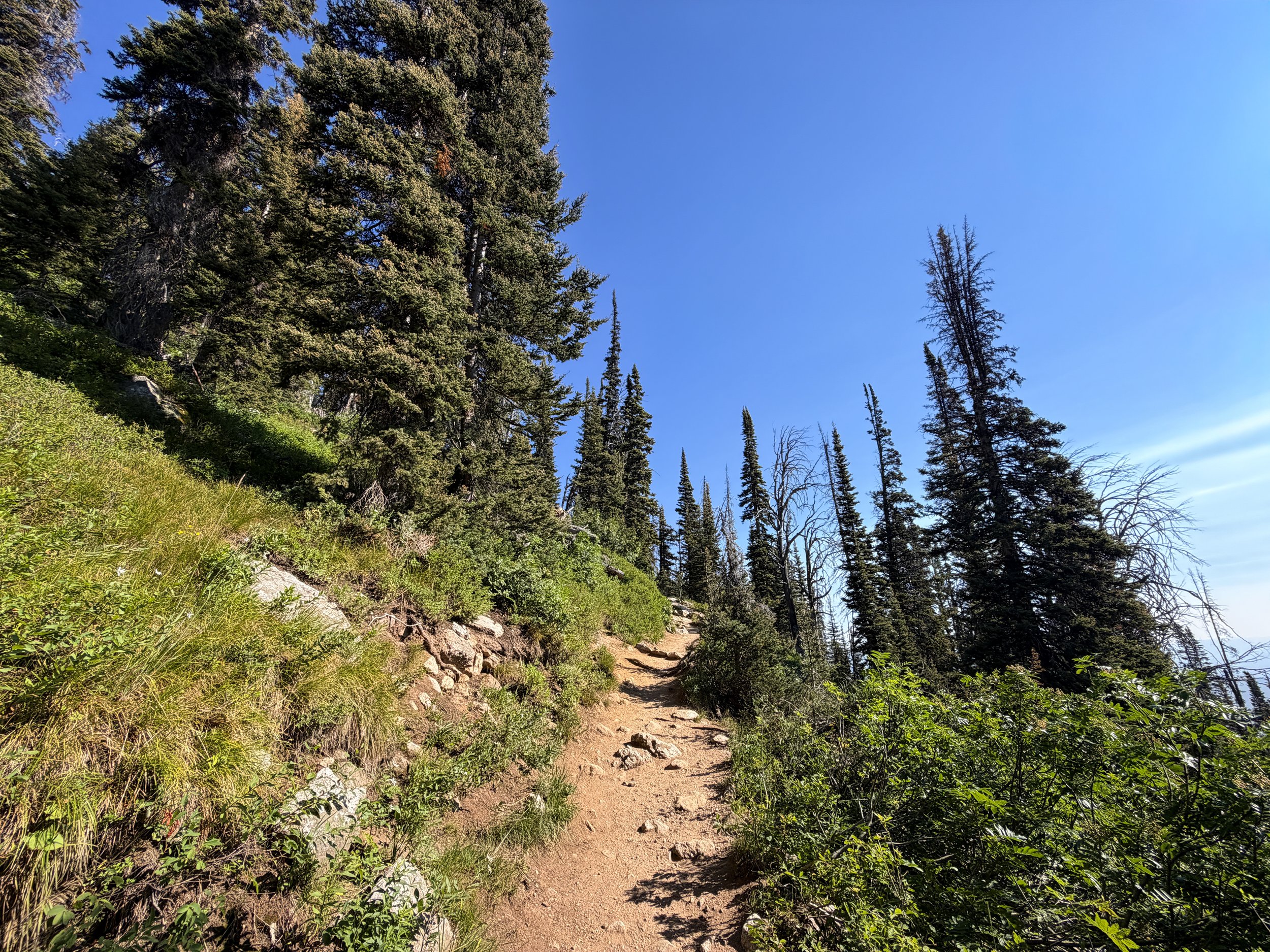Delta Lake Trail via Lupine Meadows Grand Teton National Park Wyoming