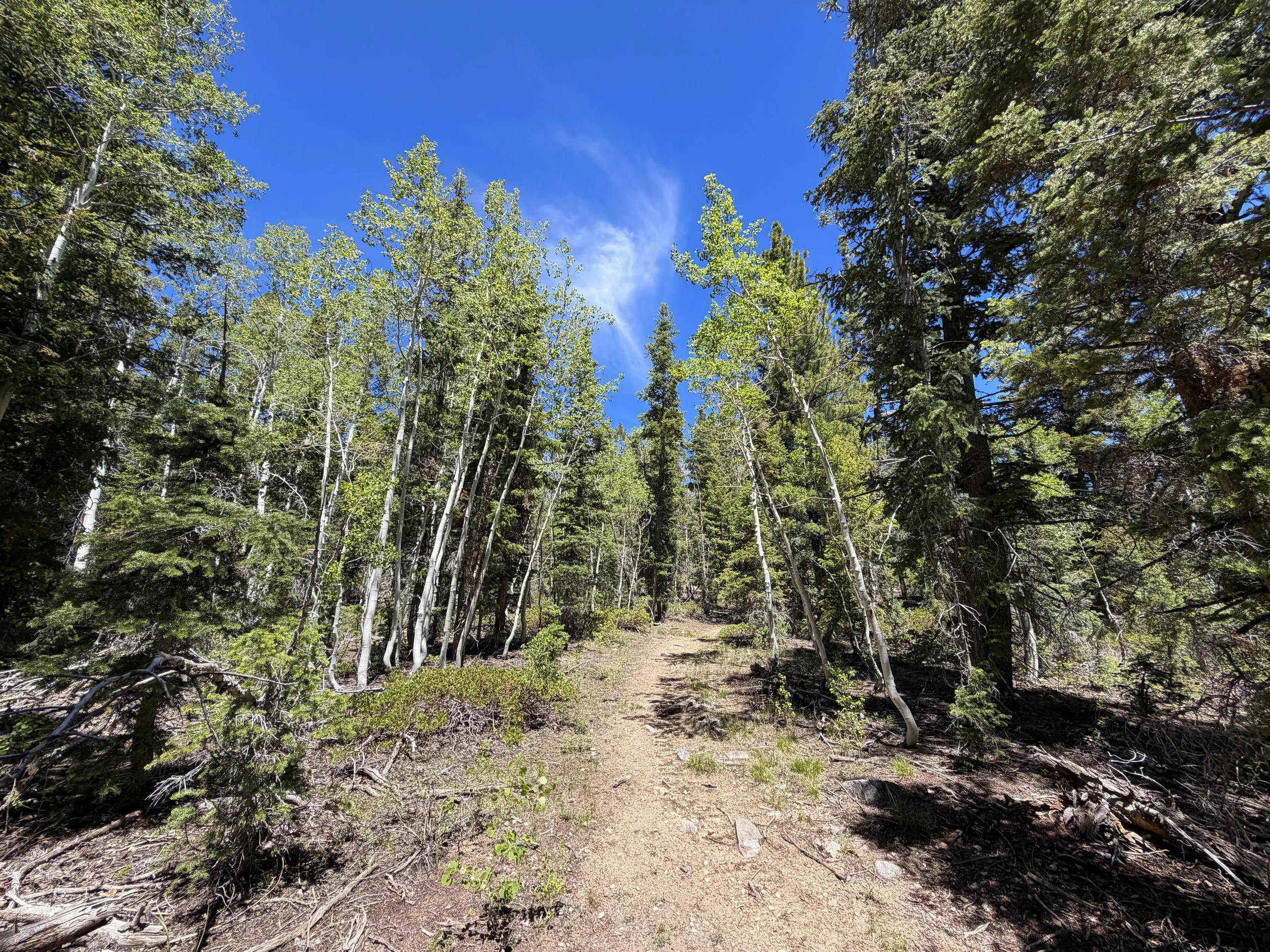 Dead Lake Trail Great Basin National Park Nevada