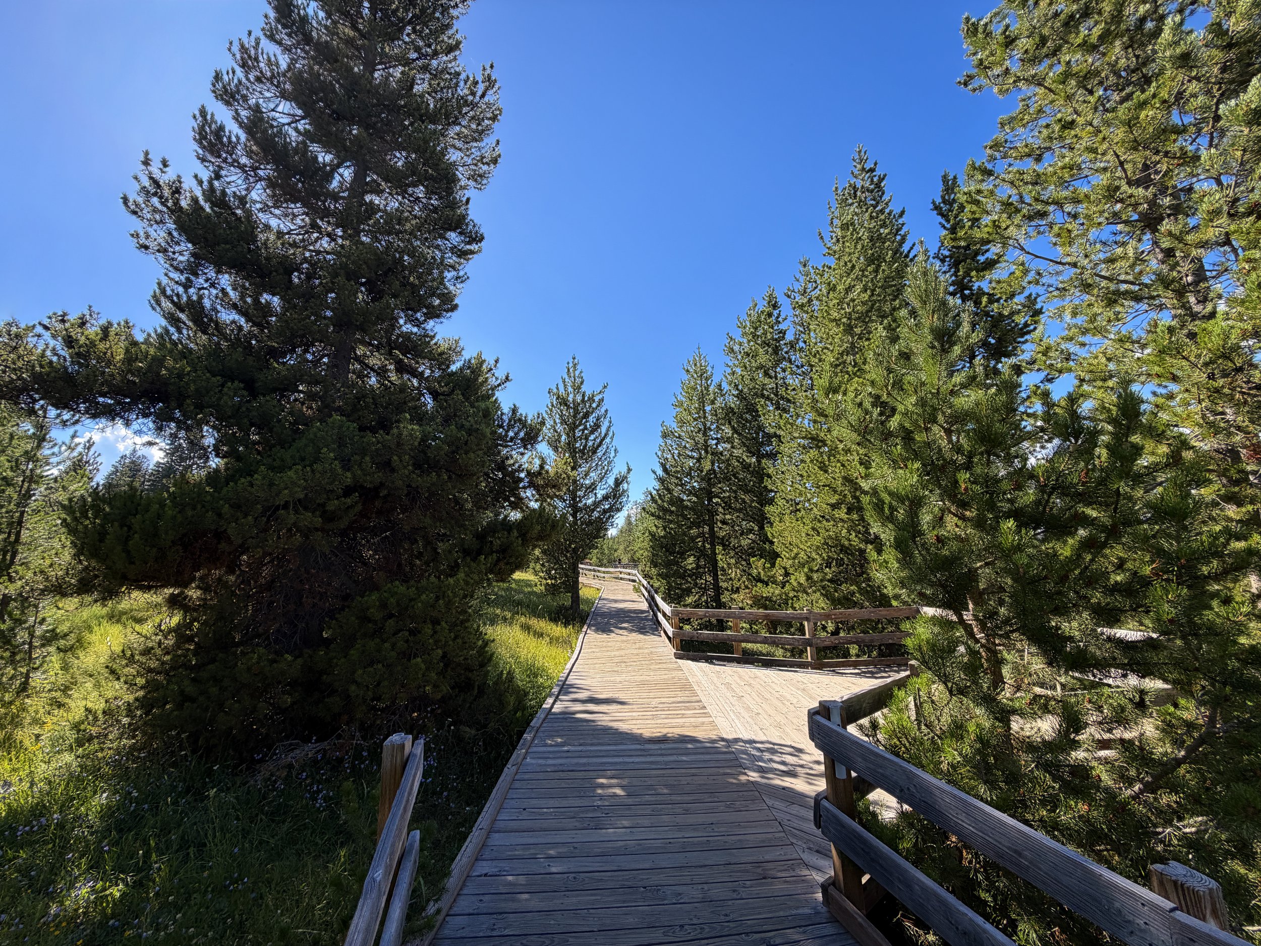 West Thumb Geyser Basin Trail Yellowstone National Park Wyoming