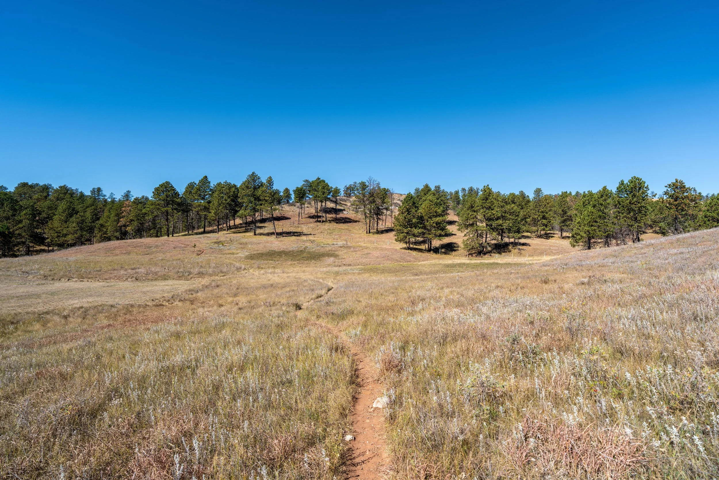 Elk Mountain Nature Trail Wind Cave National Park South Dakota