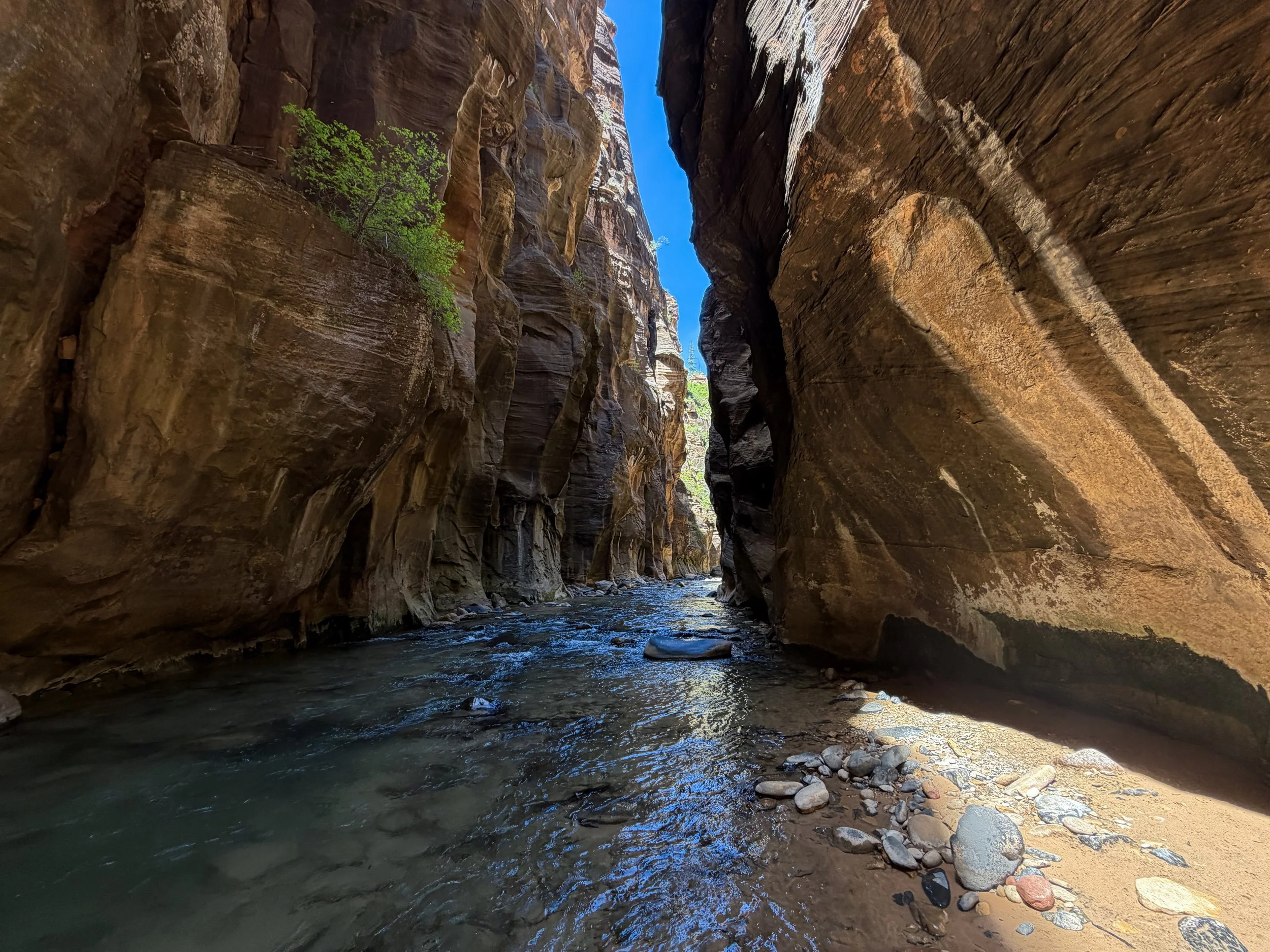 The Narrows Bottom Up to Big Springs Zion National Park Utah