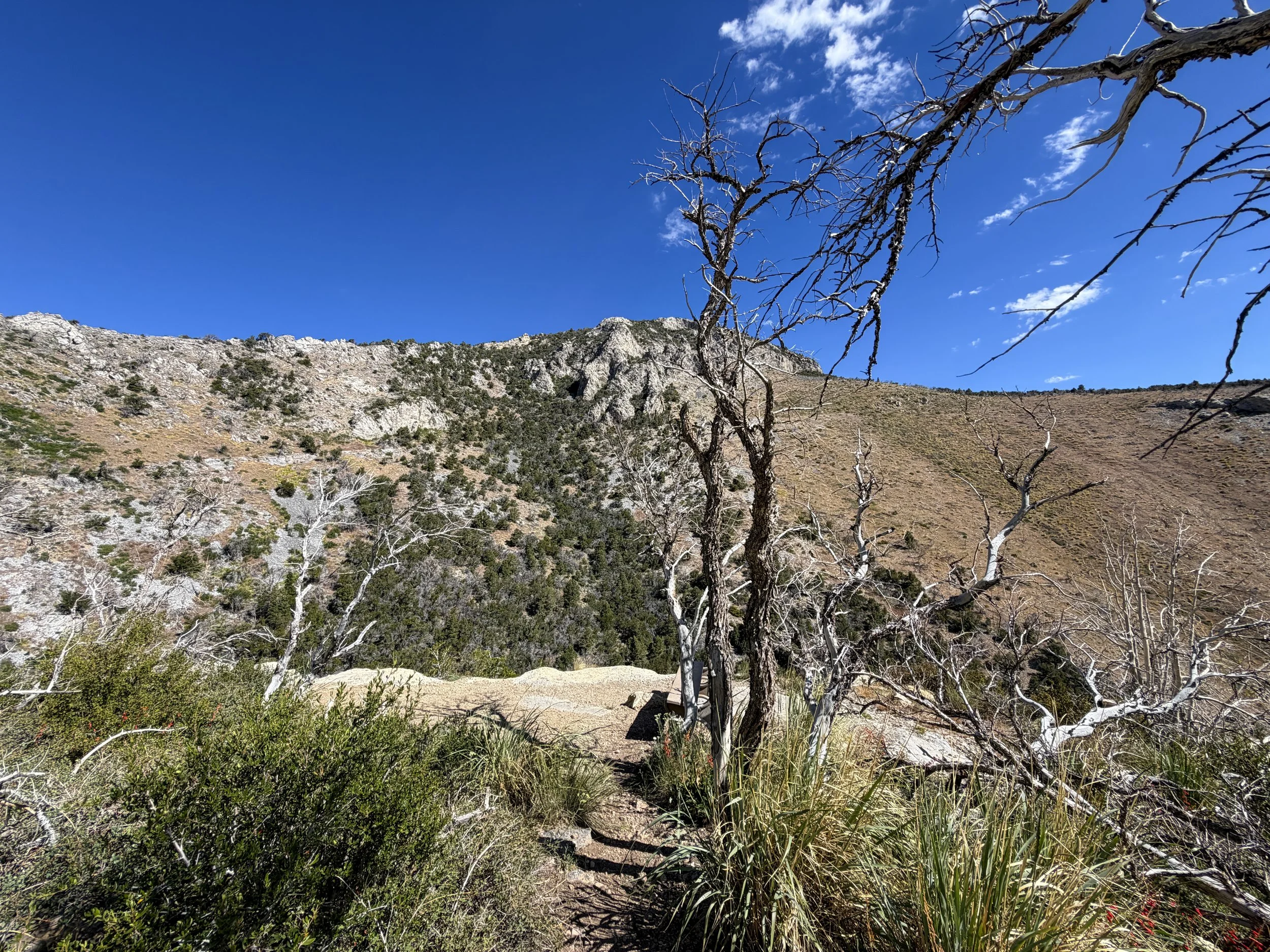 Bench Lexington Arch Trail Great Basin National Park Nevada