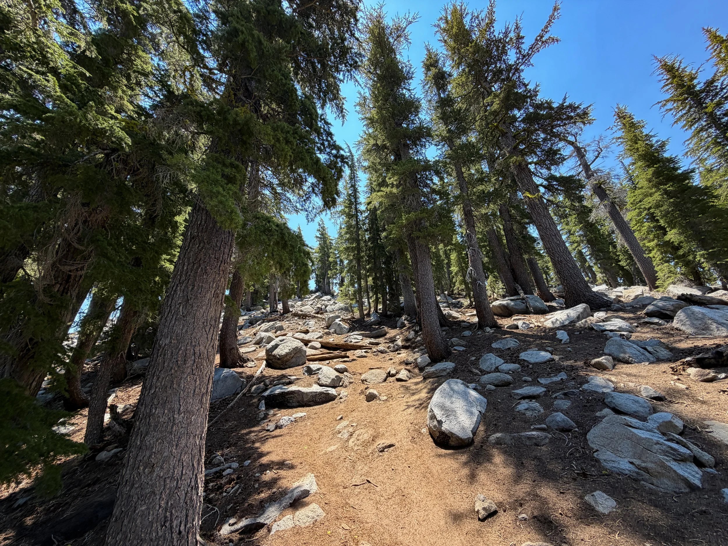 Maggies Peak Trail Lake Tahoe California