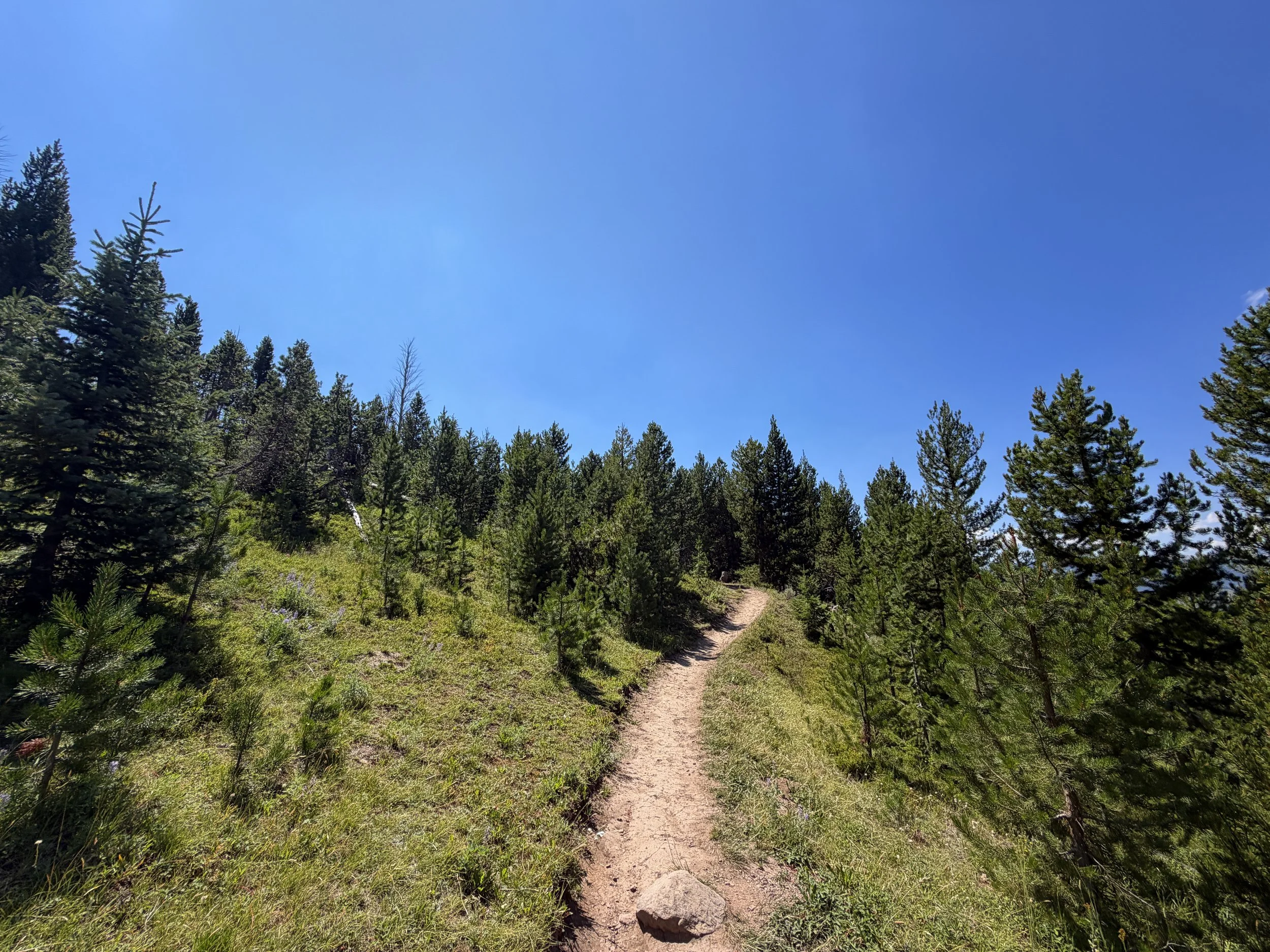 Bunsen Peak Trail Yellowstone National Park Wyoming