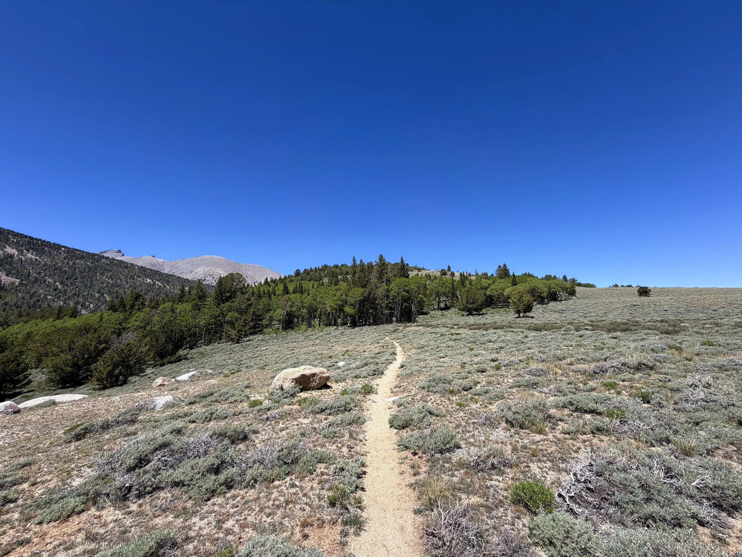 Timber Creek Loop Trail Great Basin National Park Nevada