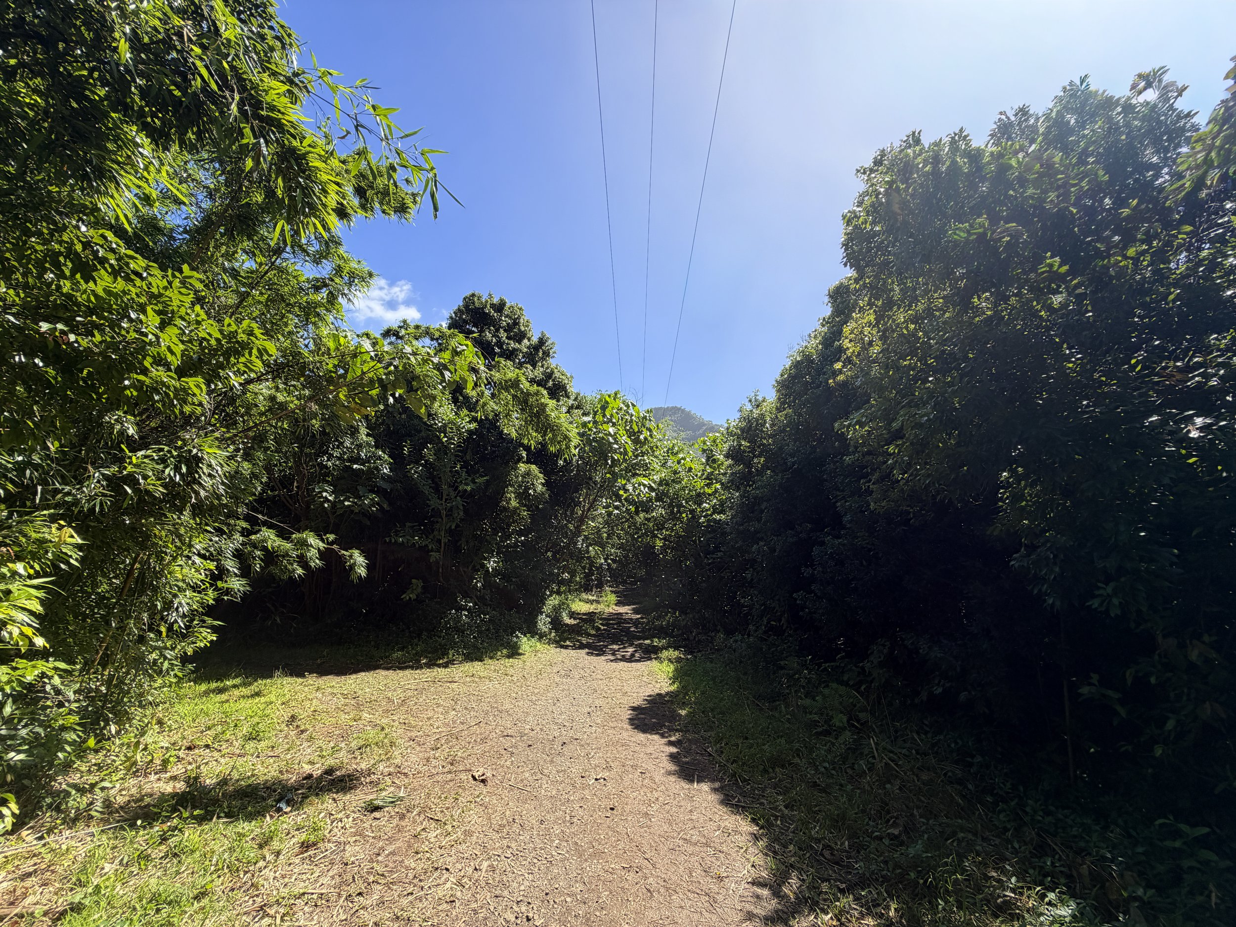 Lulumahu Falls Trail Oahu Hawaii