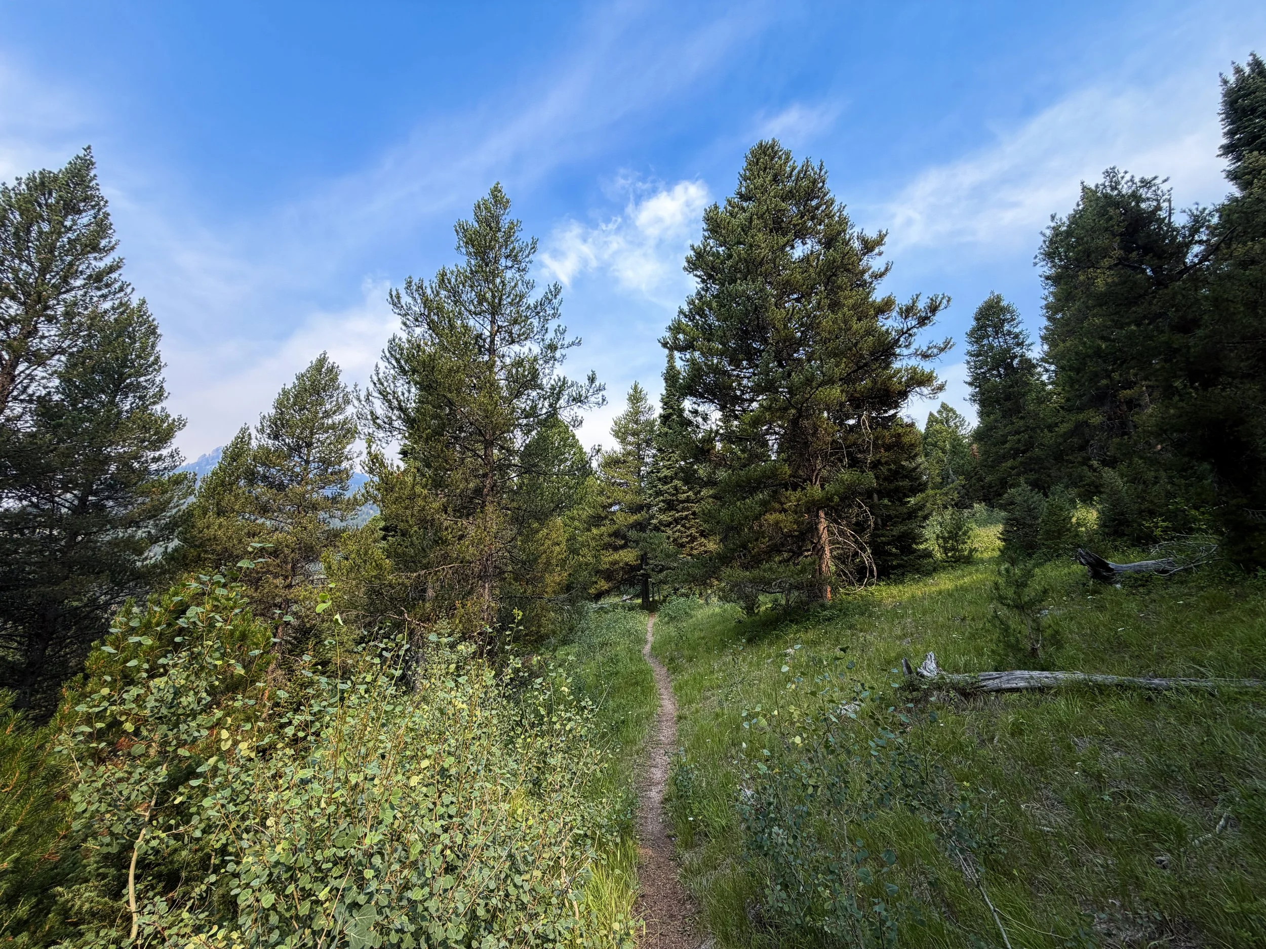 Boulder–Aspen Ridge Loop Trail Grand Teton National Park Wyoming