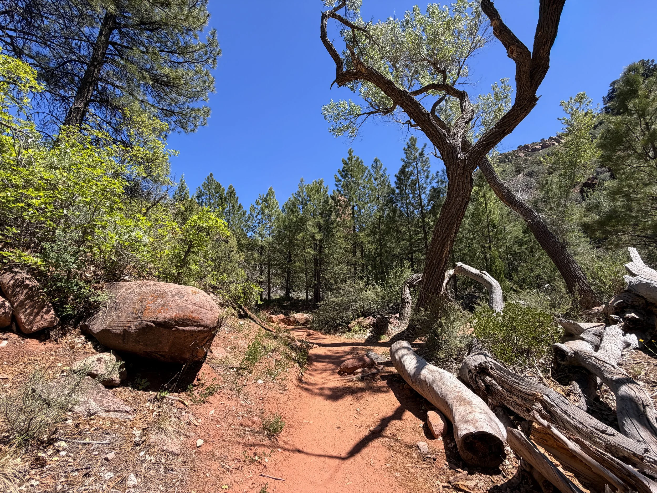 Middle Taylor Creek Trail Zion National Park Utah