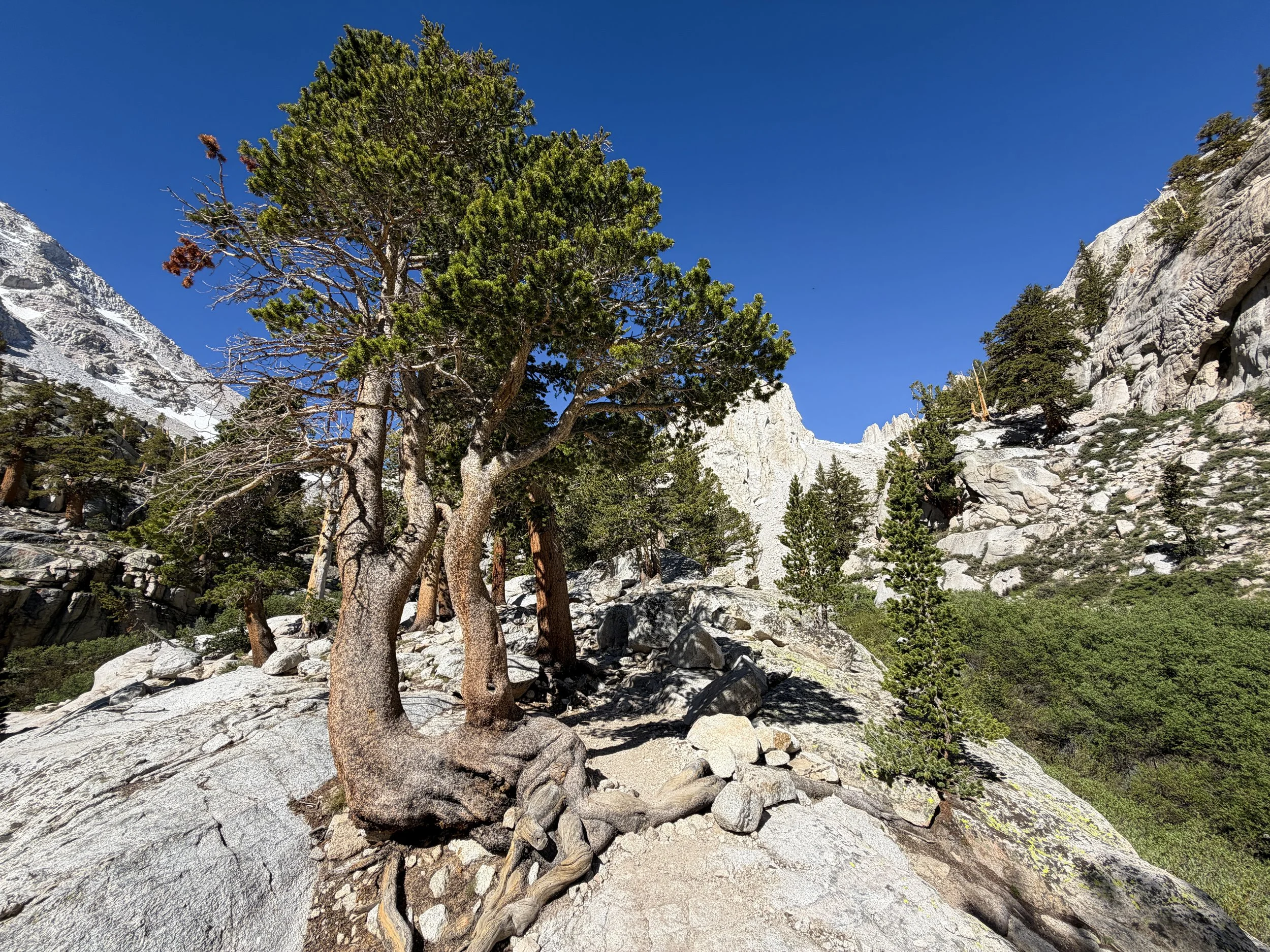 Mount Whitney Trail Lone Pine California