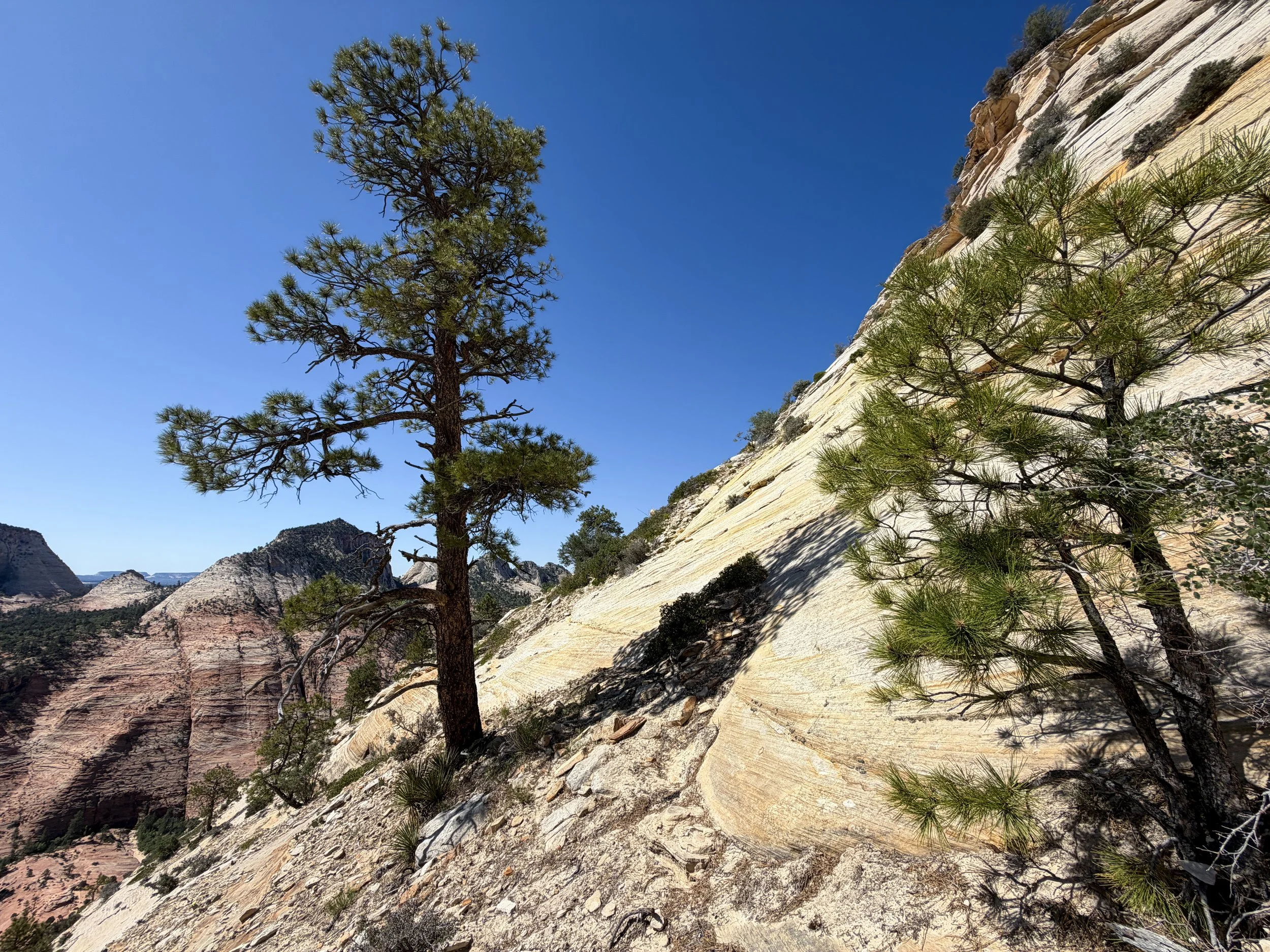 South Ariel Peak Hike Zion National Park Utah