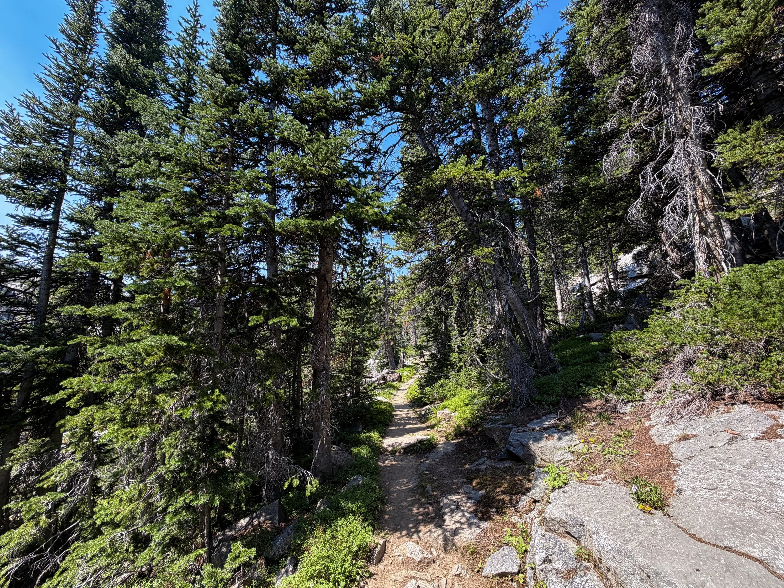 East Rosebud Trail The Beaten Path Beartooth Mountains Montana