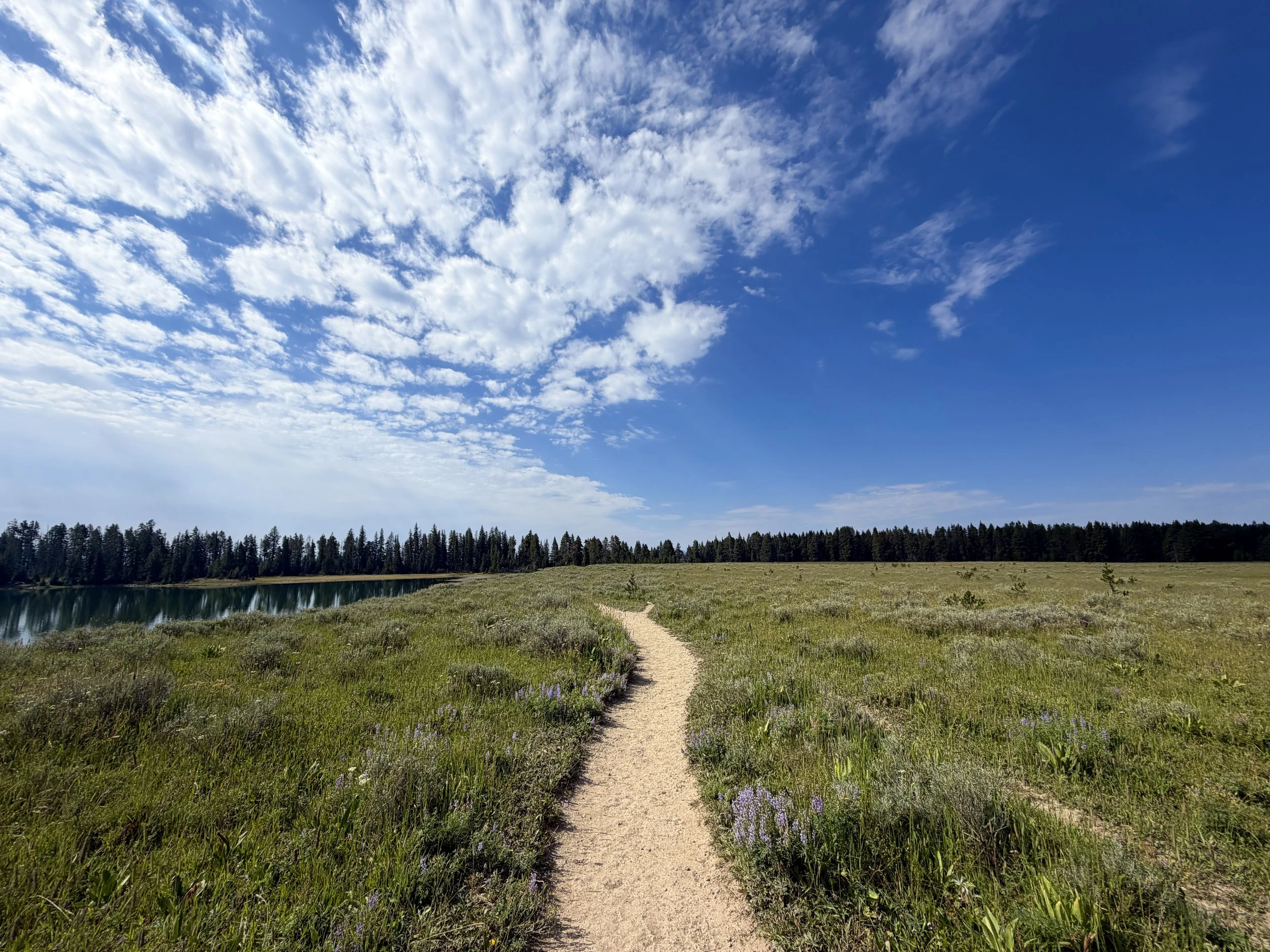 Storm Point Trail Yellowstone National Park Wyoming