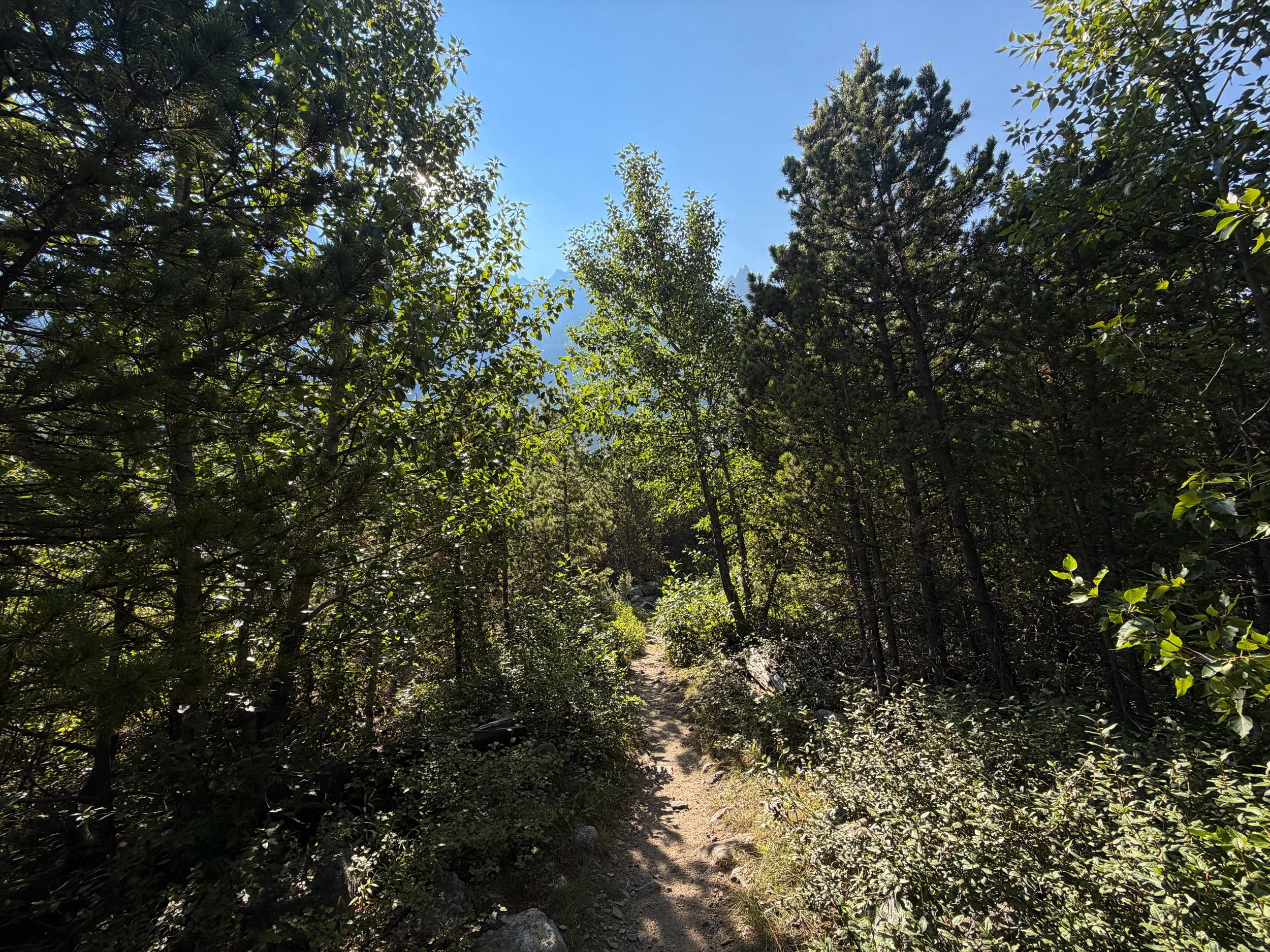East Rosebud Trail Beartooth Mountains Montana