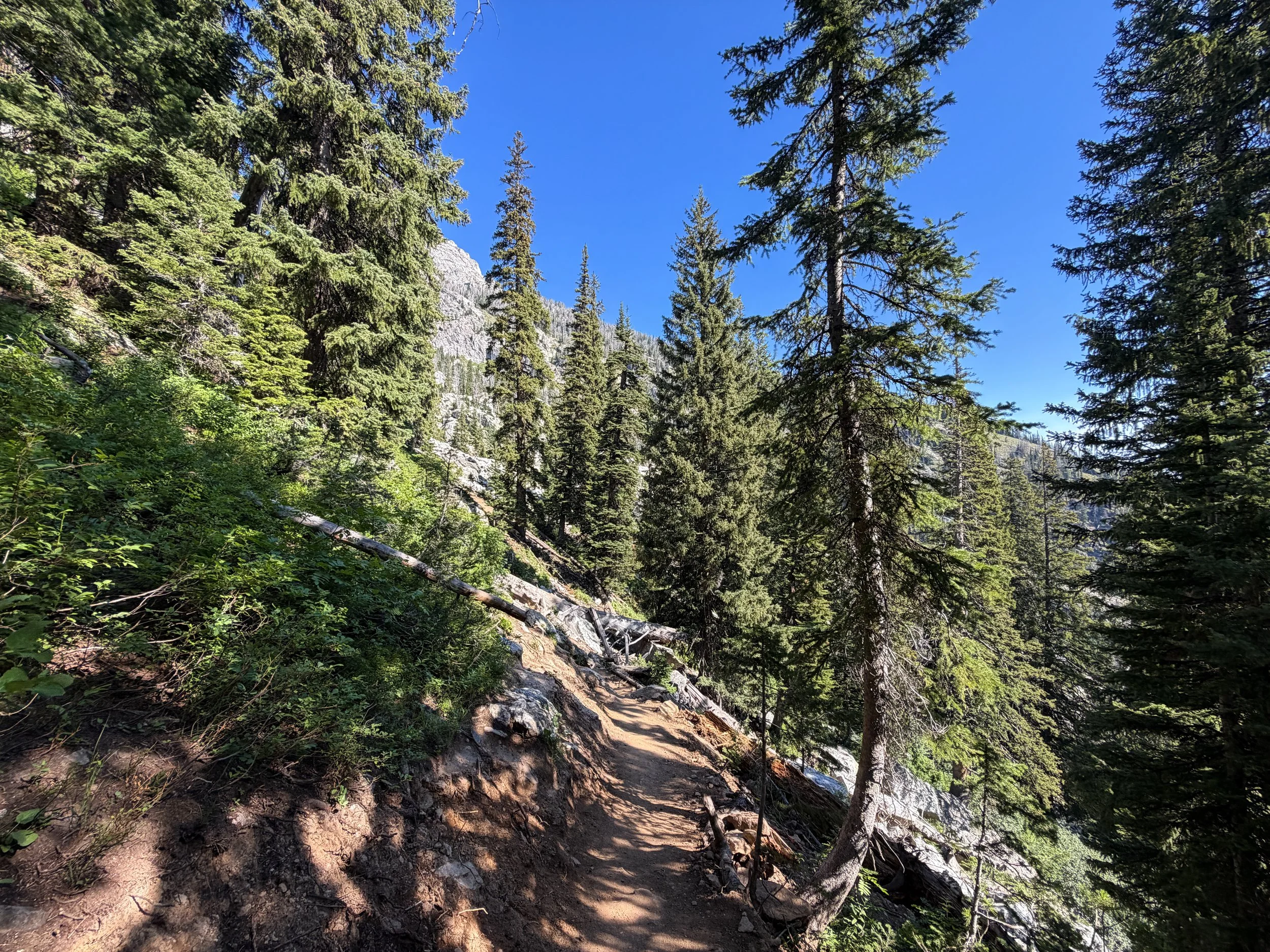 Delta Lake Trail Grand Teton National Park Wyoming