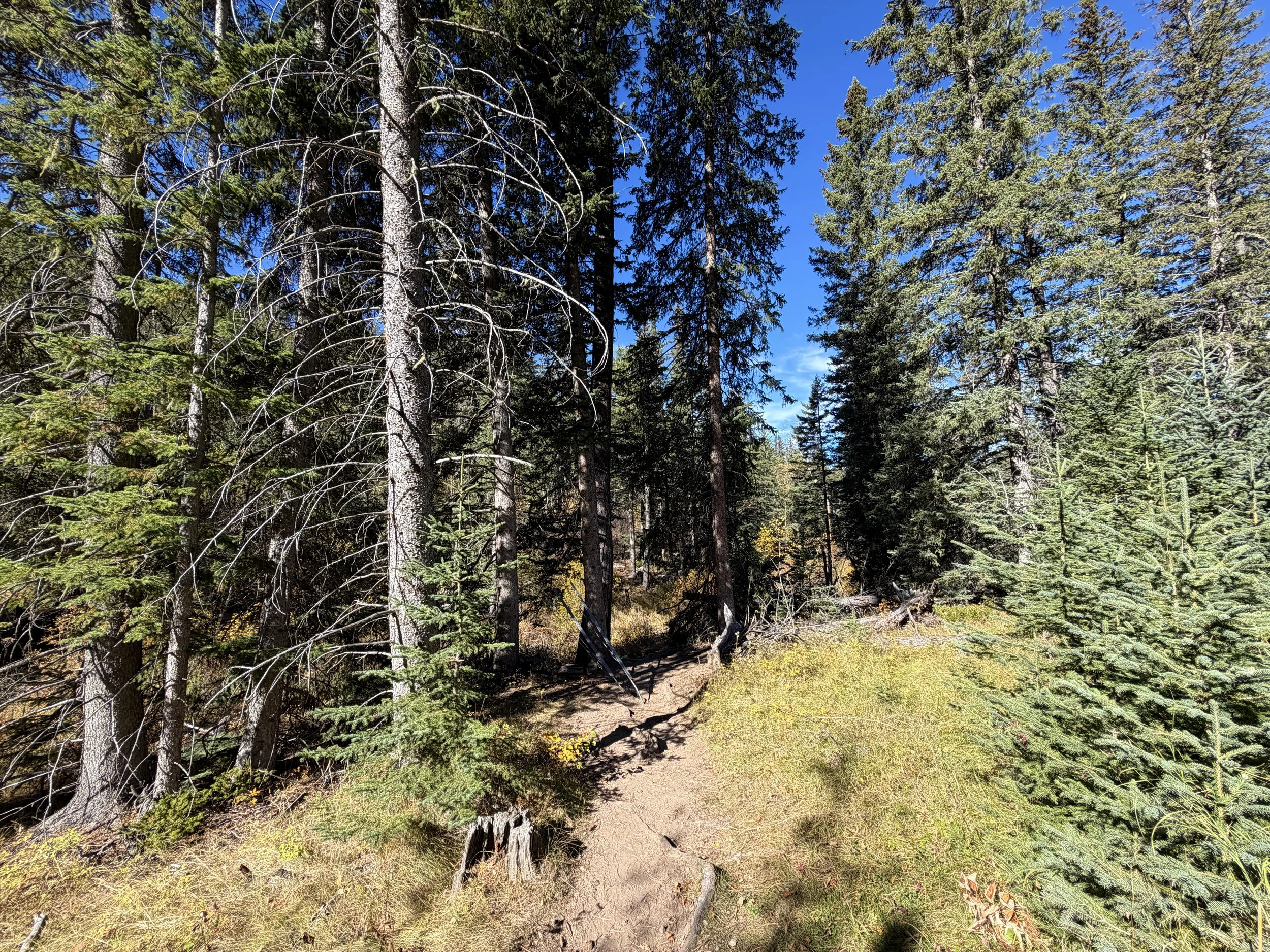 Sunday Gulch Trail Custer State Park Black Hills South Dakota