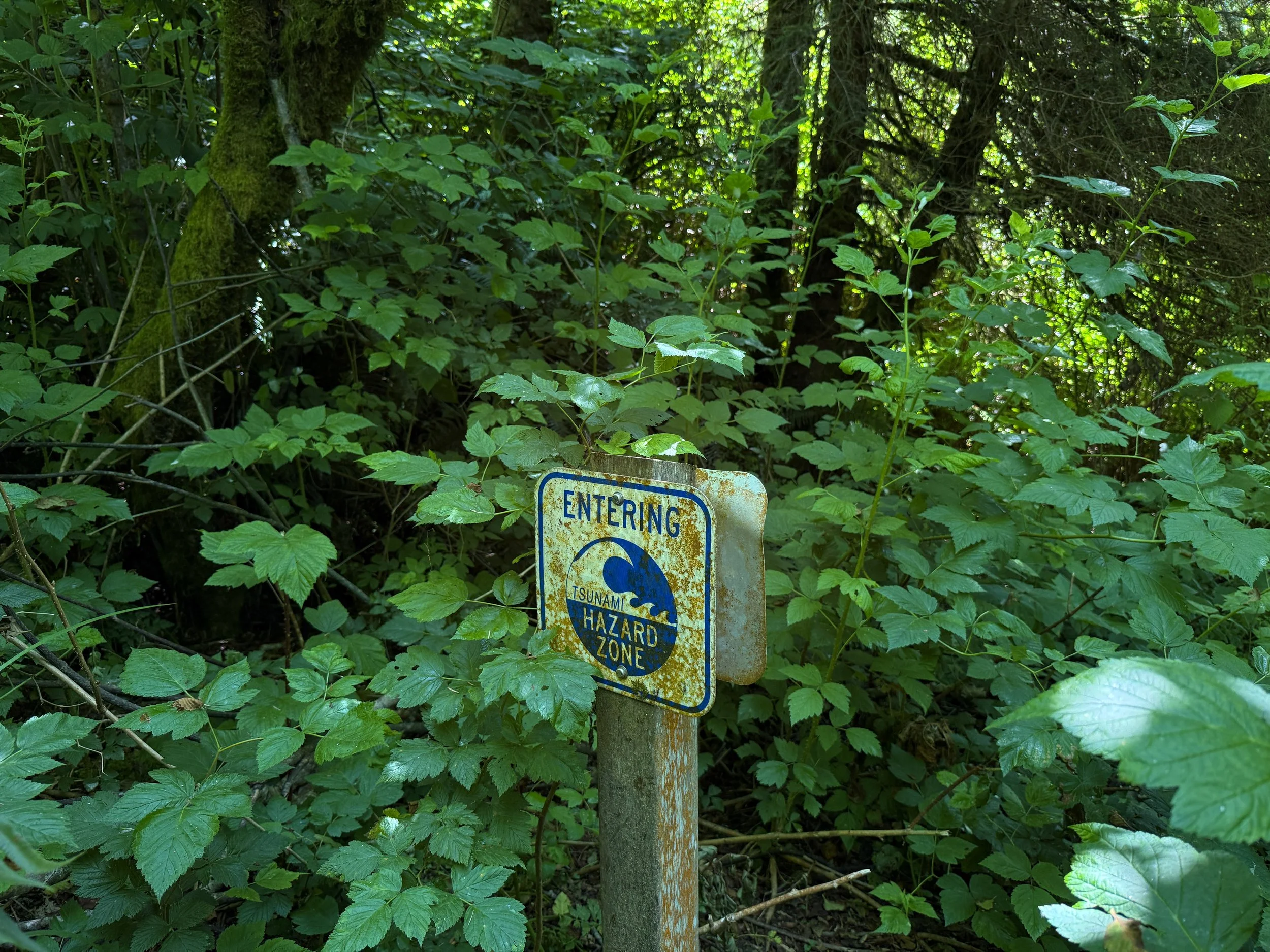 Ossagon Trail Prairie Creek Redwoods State Park California