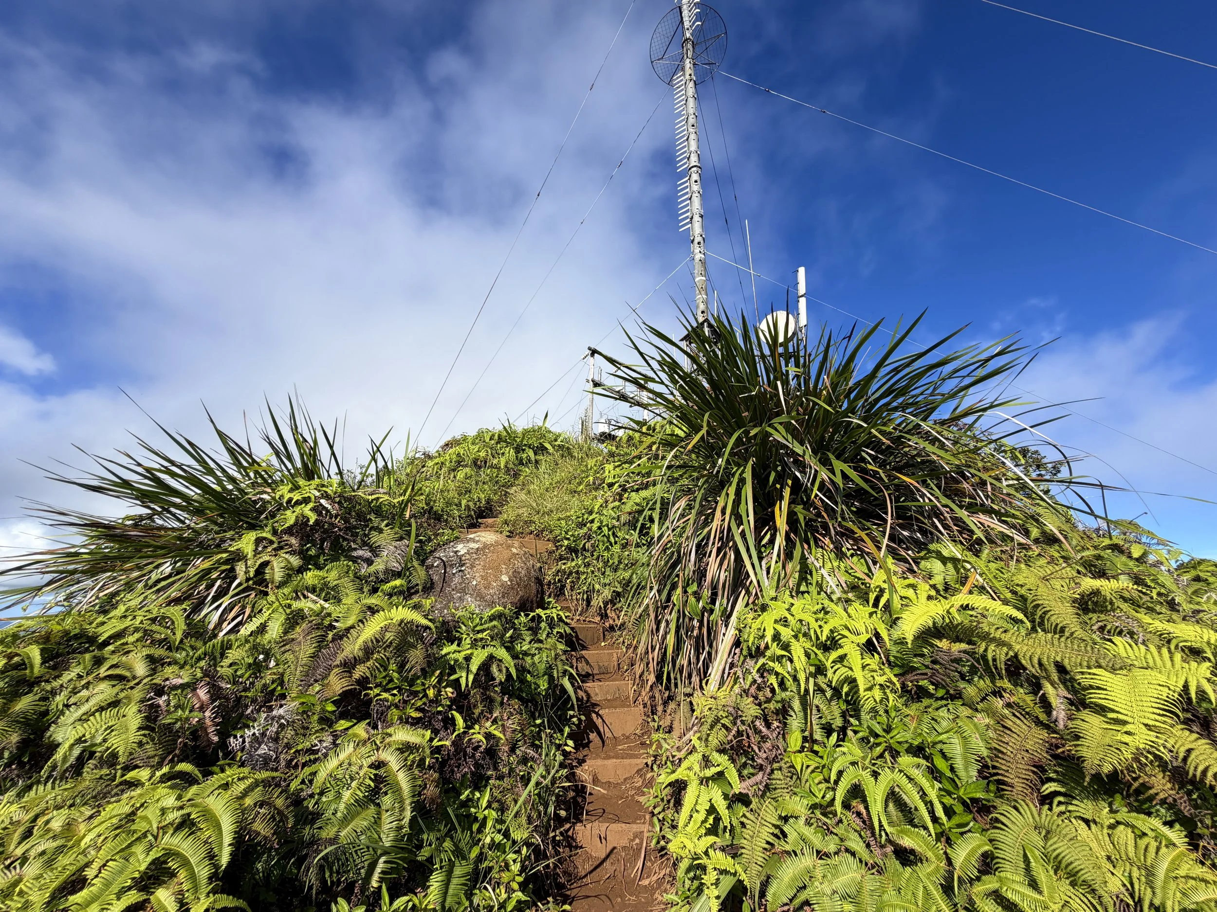 Wiliwilinui Ridge Trail Stairs Oahu Hawaii