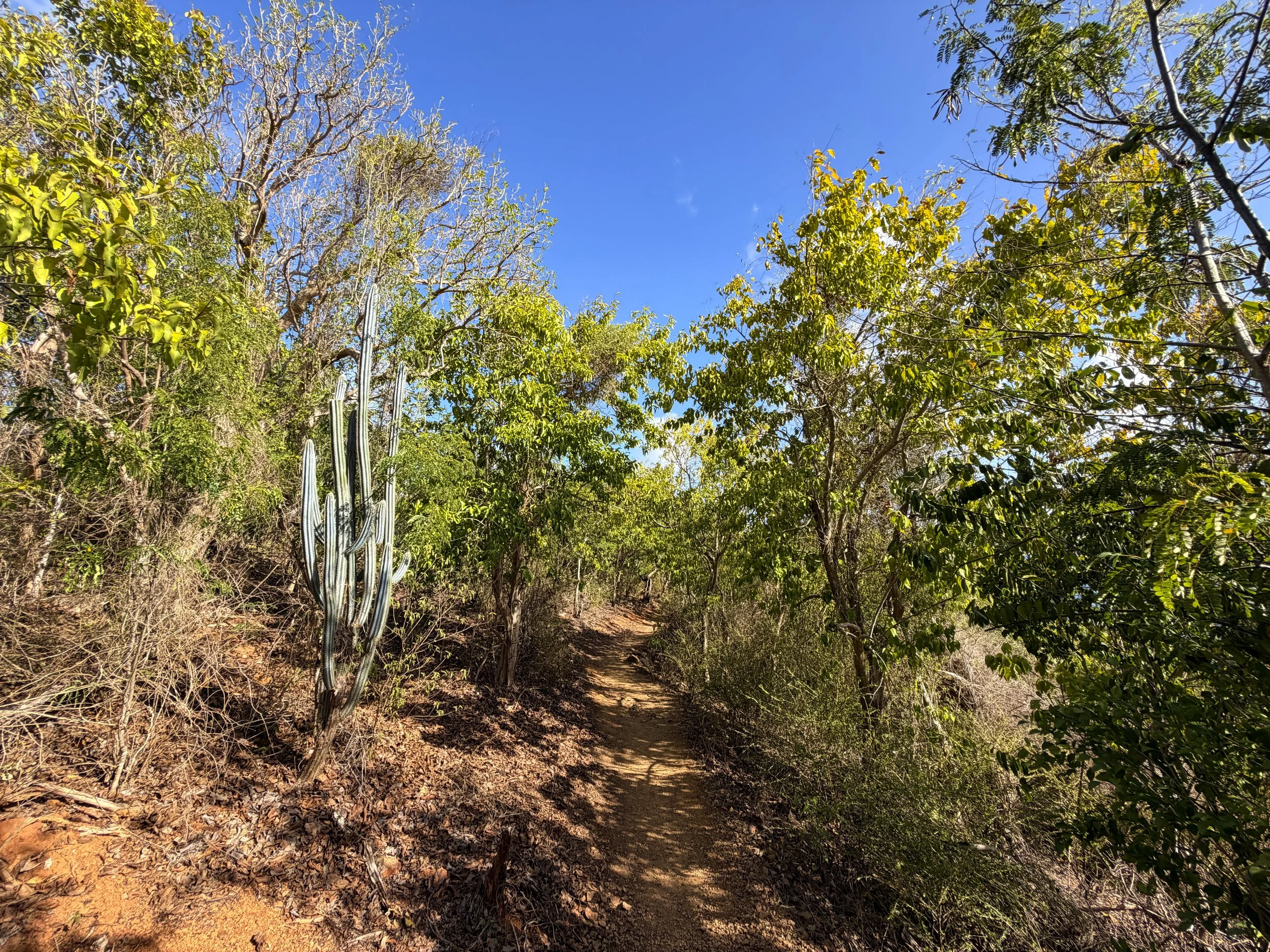 Rams Head Hike Virgin Islands National Park
