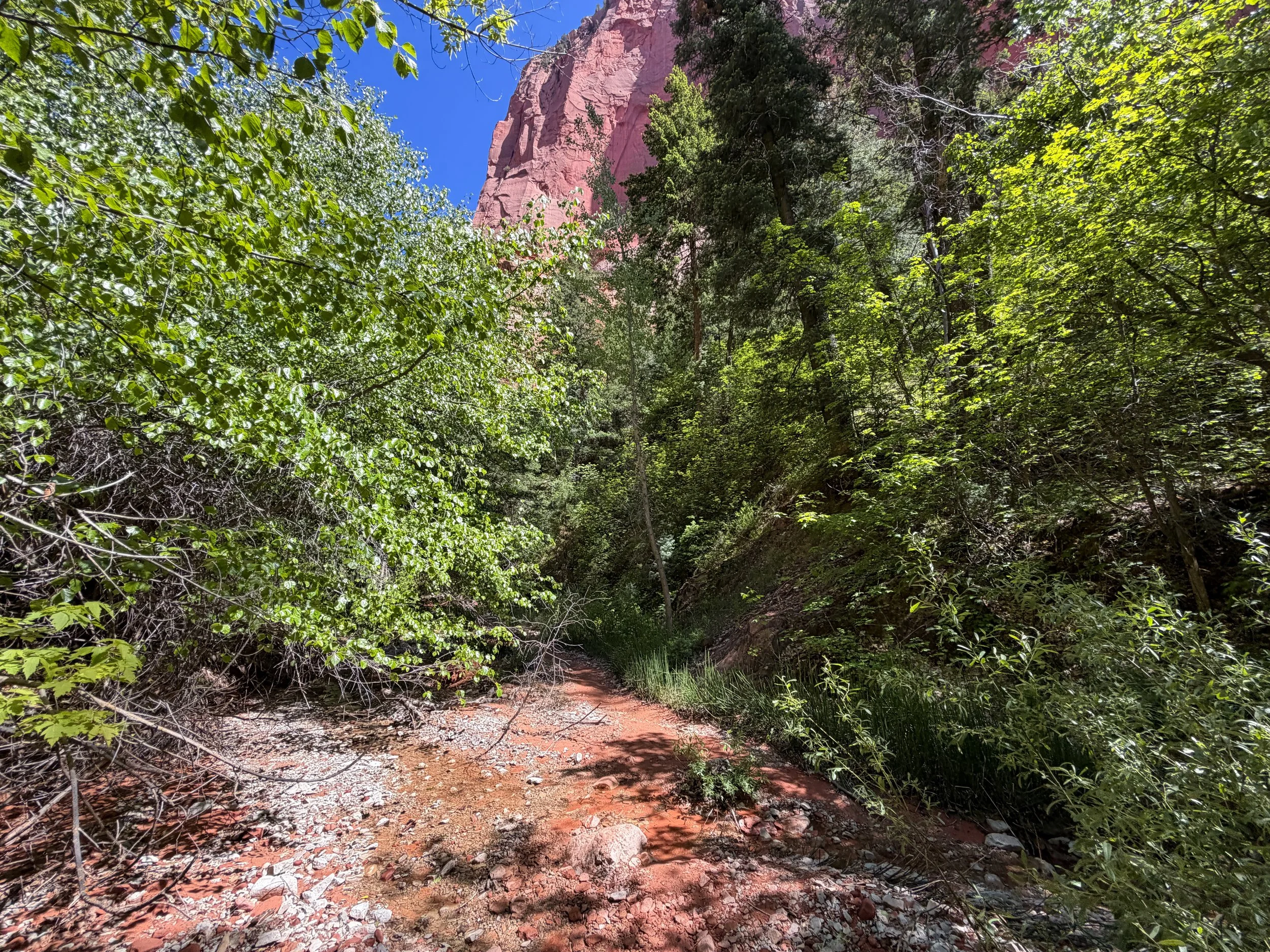Middle Taylor Creek Trail Zion National Park Utah