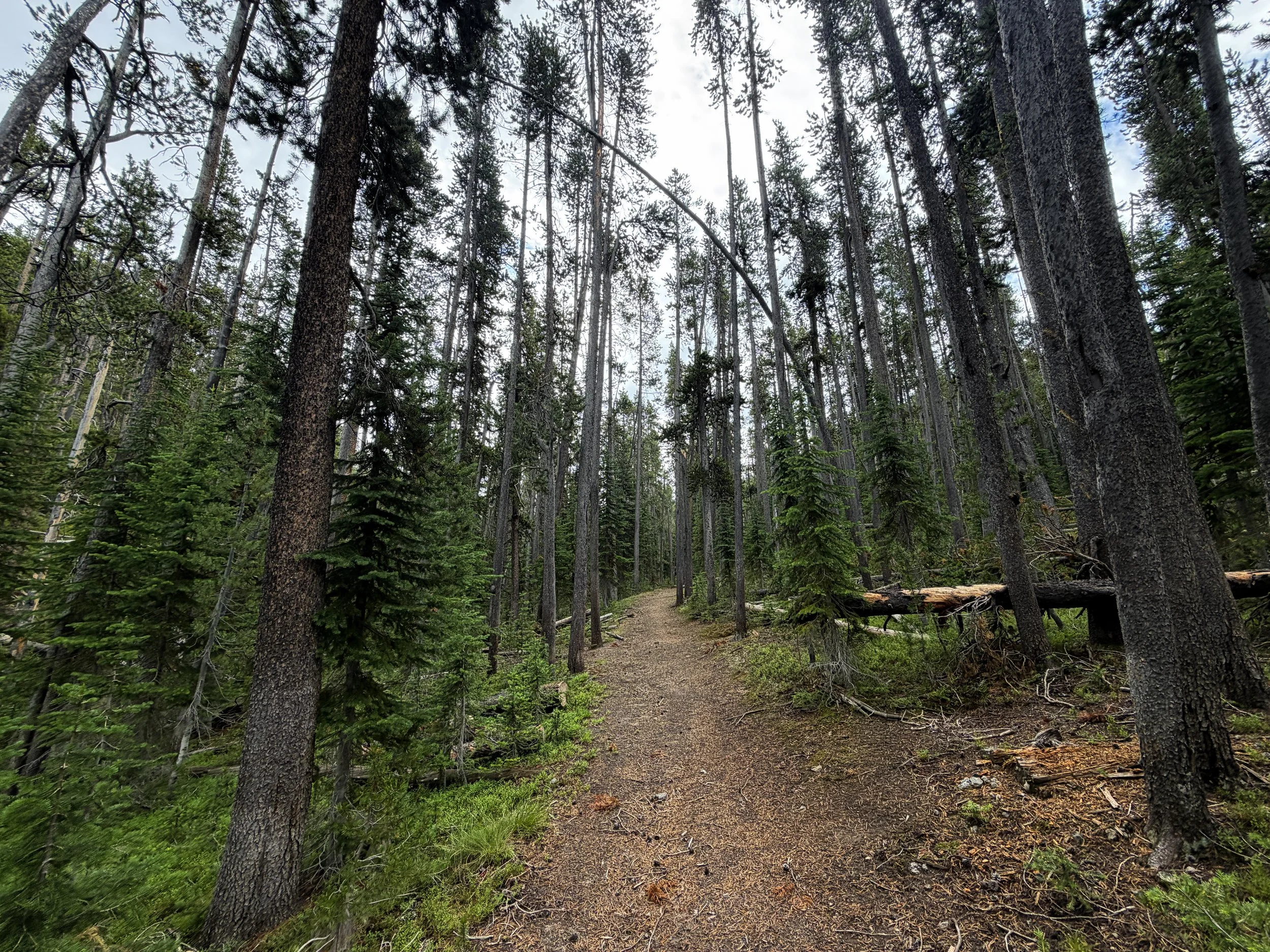 Divide Mountain Hike Yellowstone National Park Wyoming