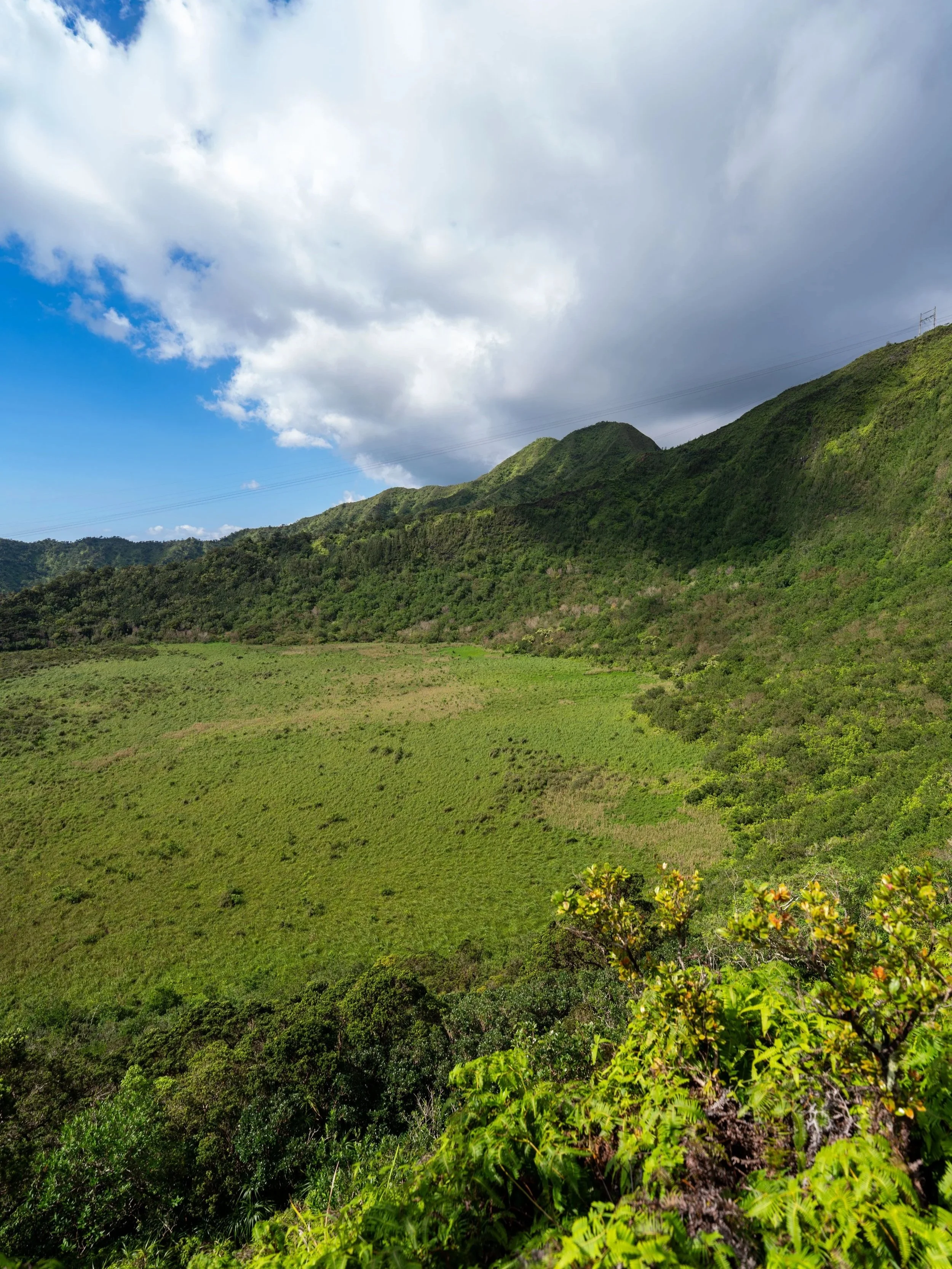 Kaau Crater Trail Oahu Hawaii