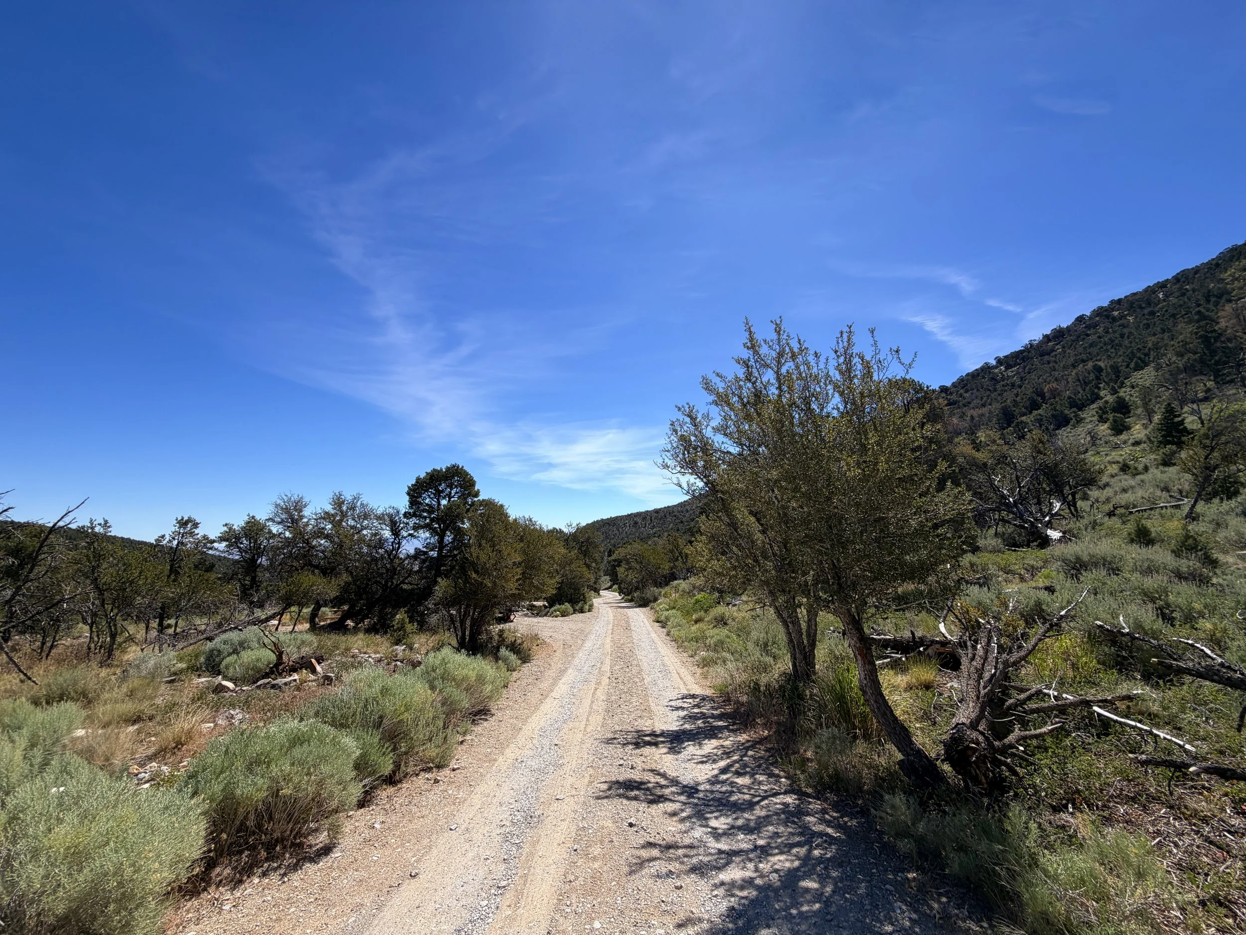 Pole Canyon Trail Great Basin National Park Nevada