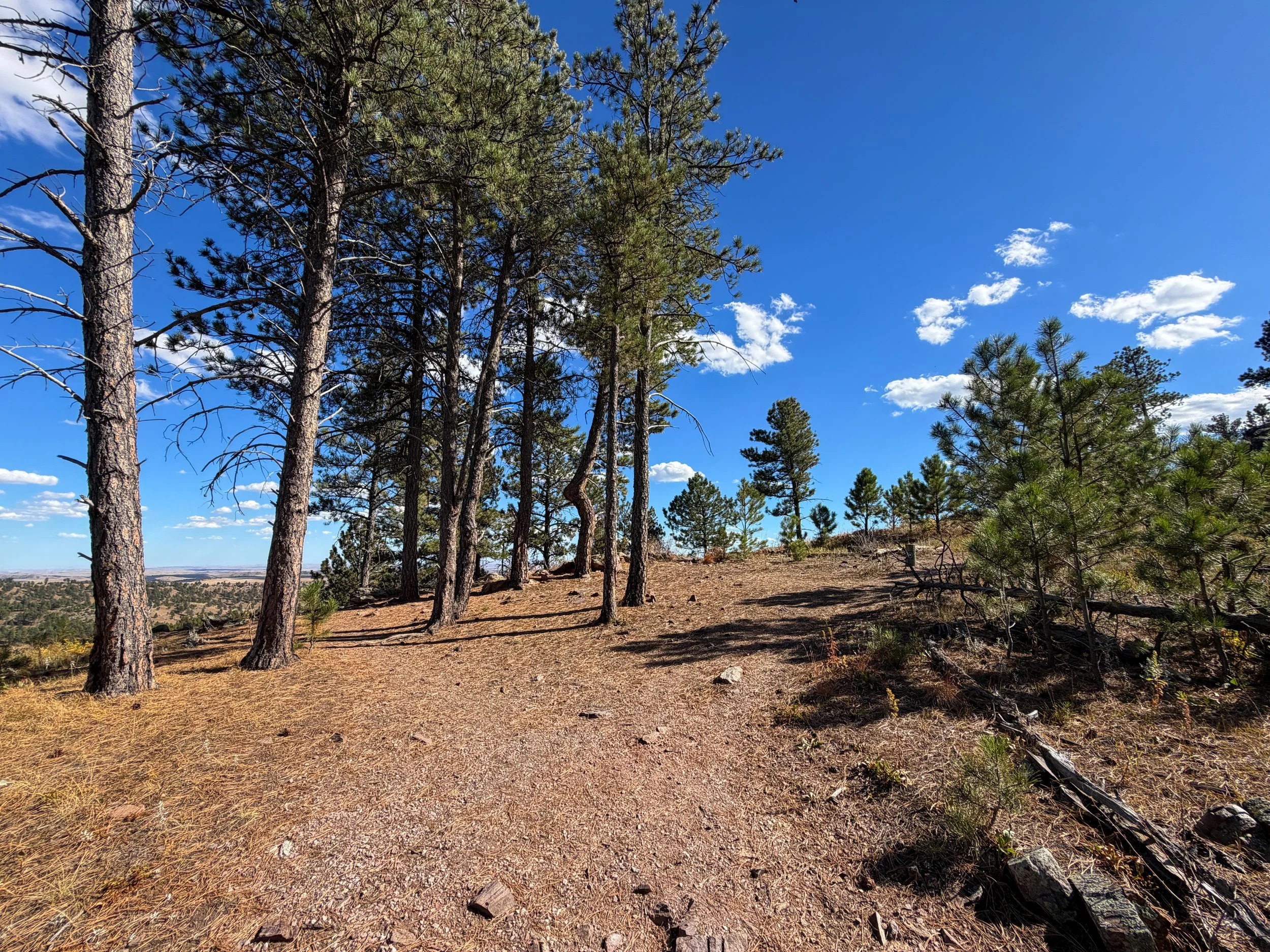 Rankin Ridge Nature Hike Wind Cave National Park South Dakota