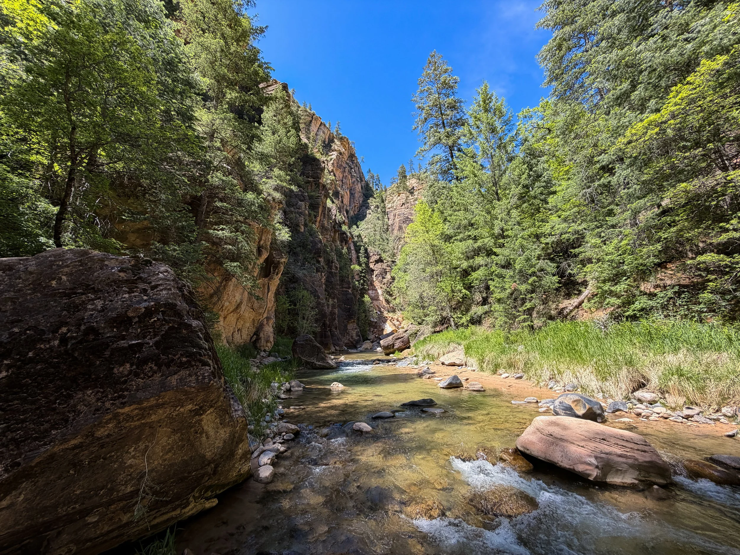 Big Springs The Narrows Zion National Park Utah