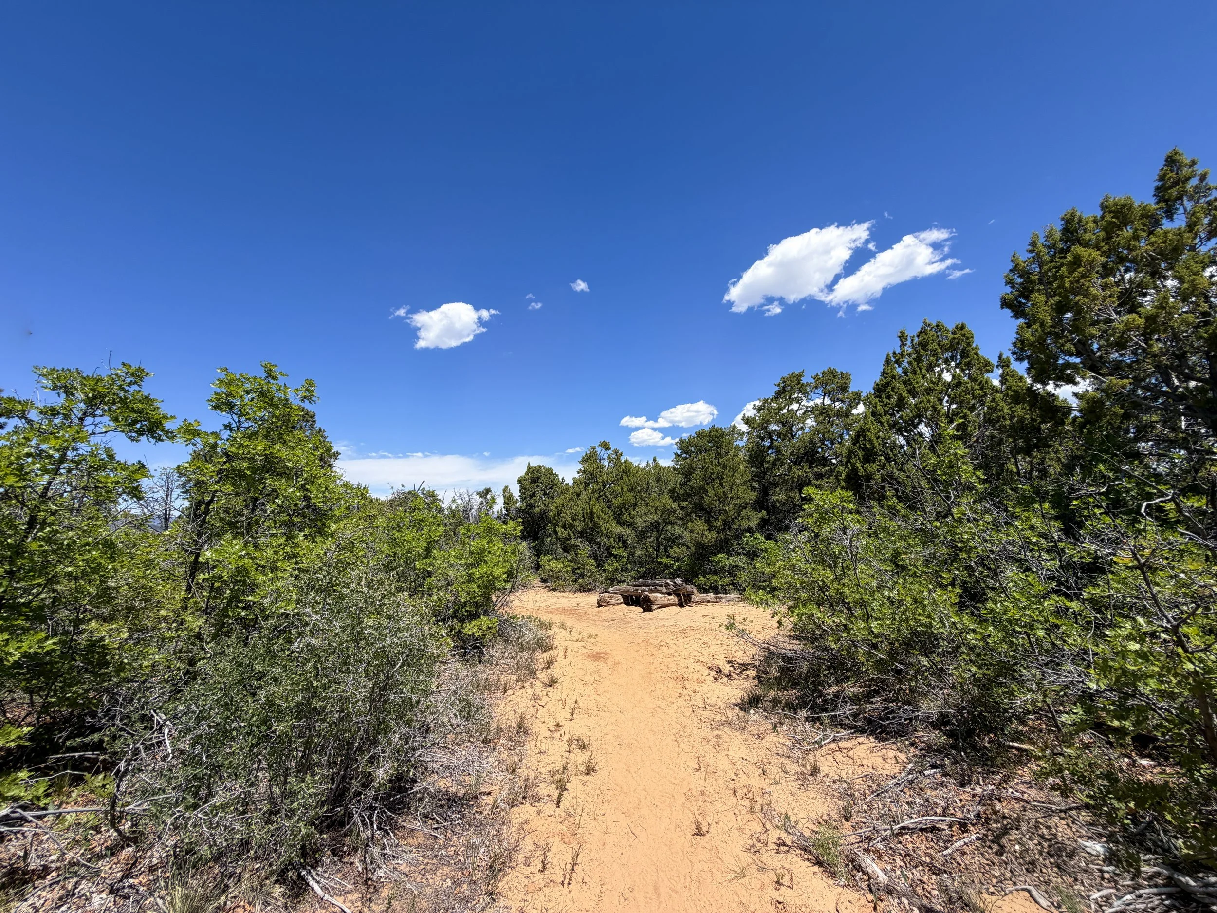 Cable Mountain Trail Zion National Park Utah