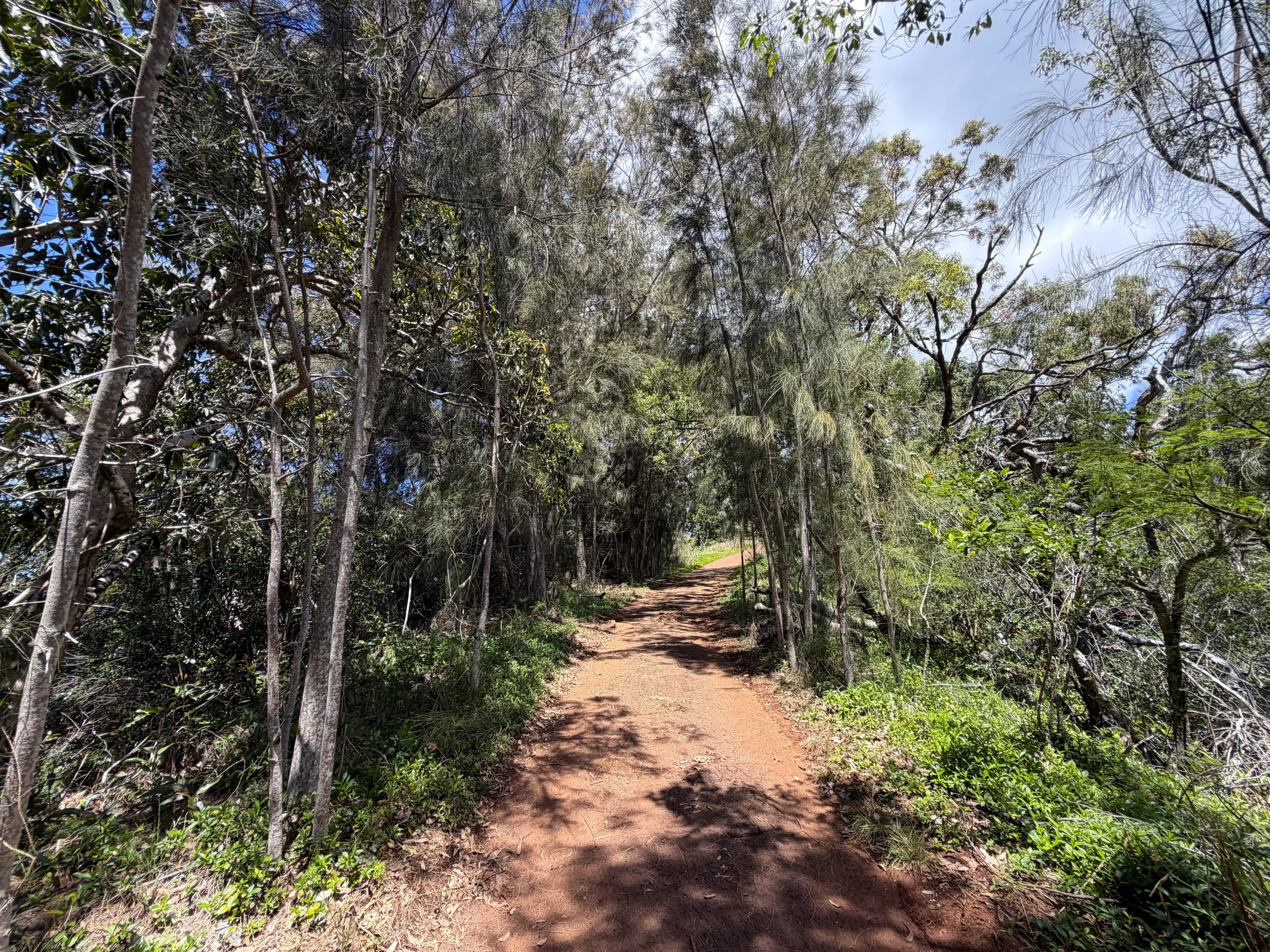 Waimano Pools Trail Oahu Hawaii