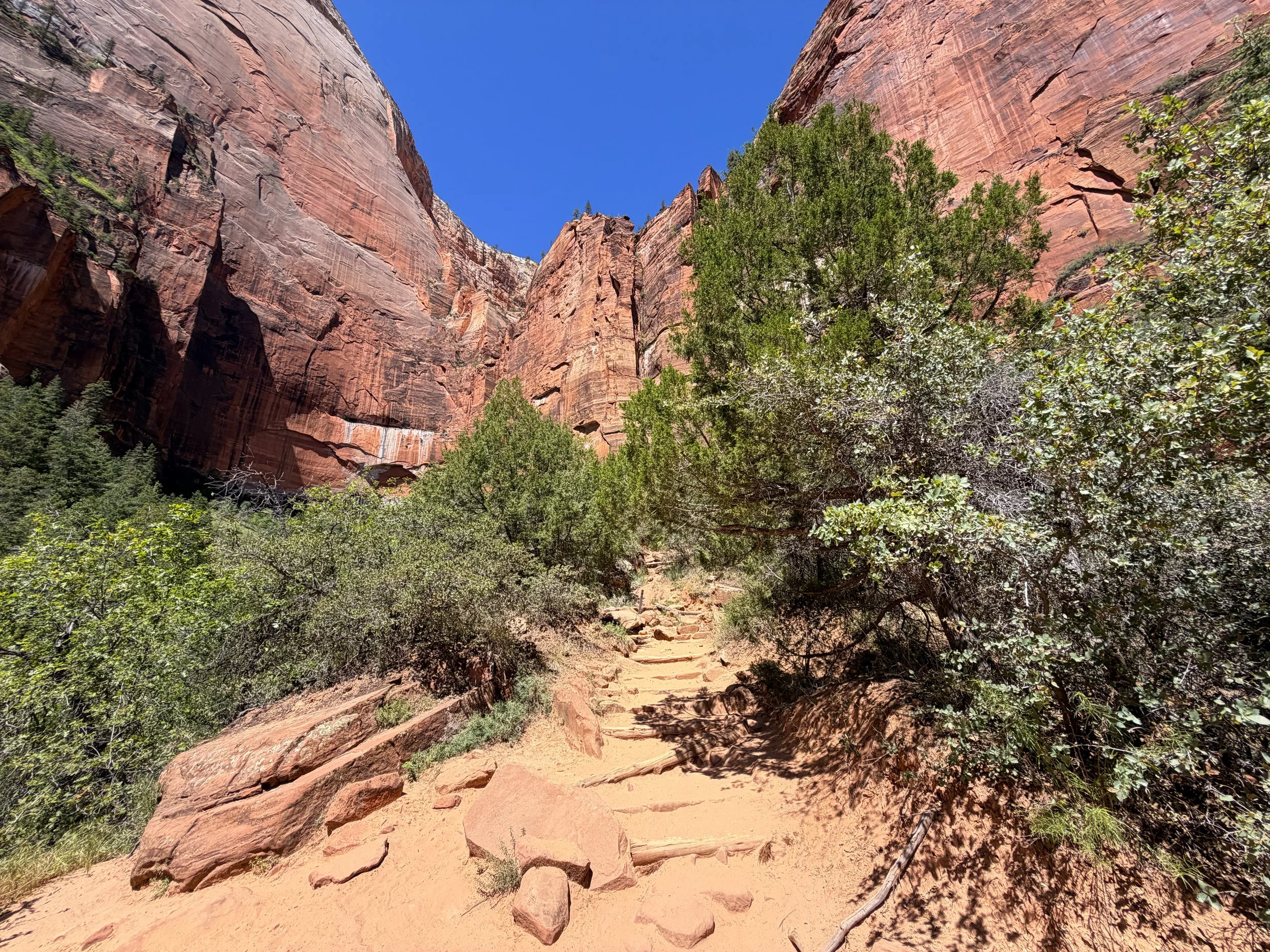 Upper Emerald Pools Trail Zion National Park Utah