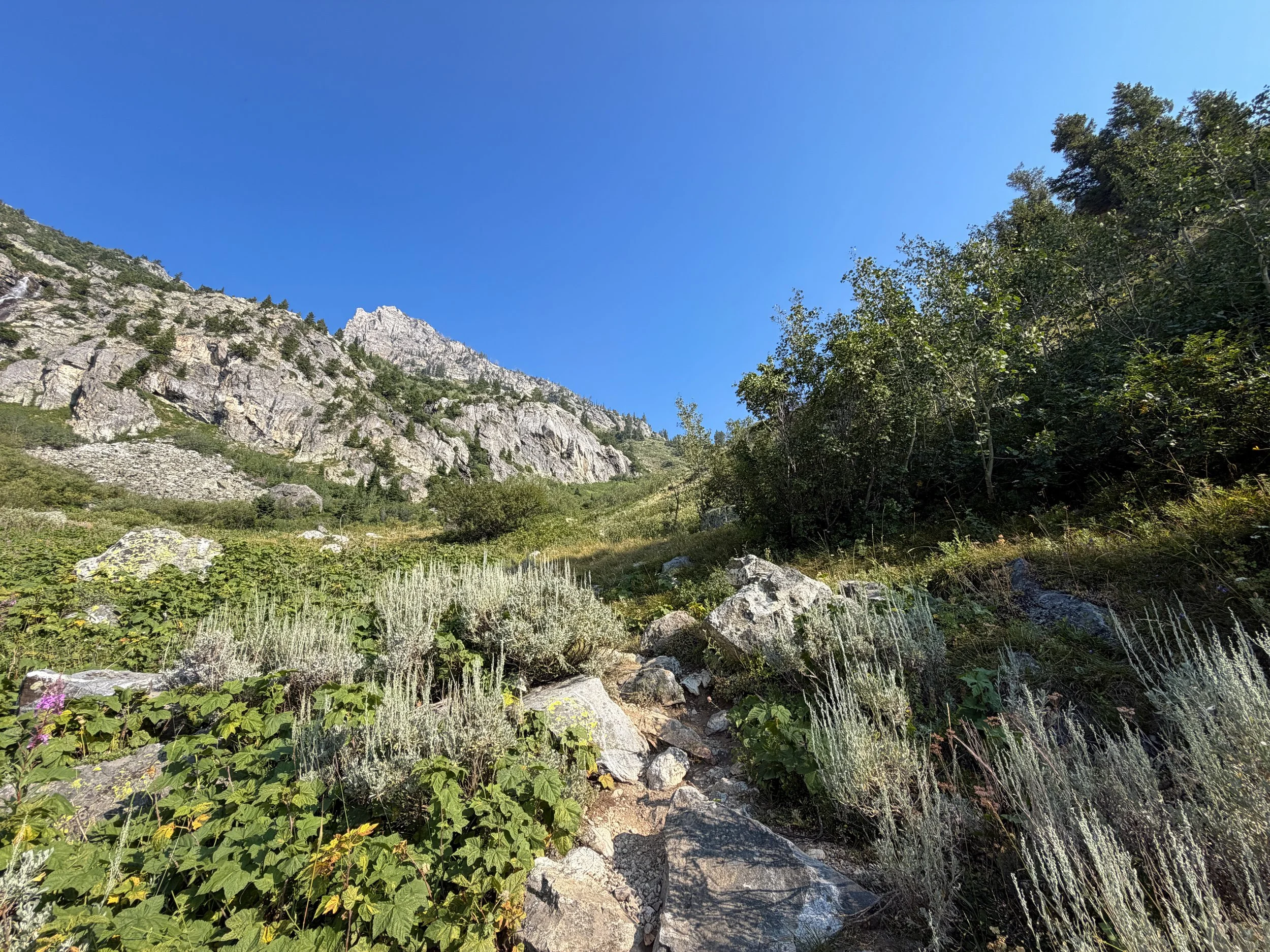 Lake of the Crags Hike Grand Teton National Park Wyoming