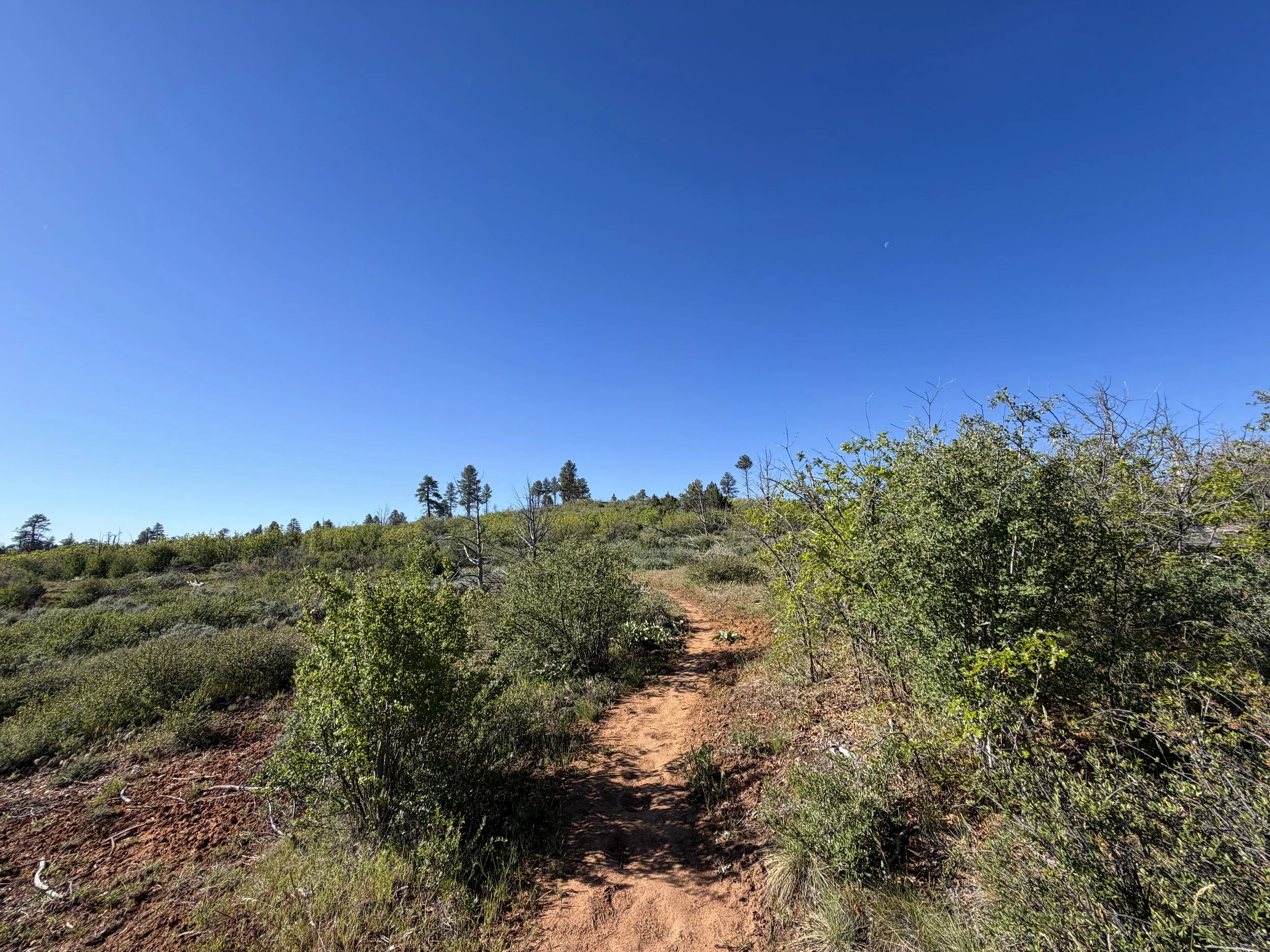 Deertrap Mountain Trail Zion National Park Utah