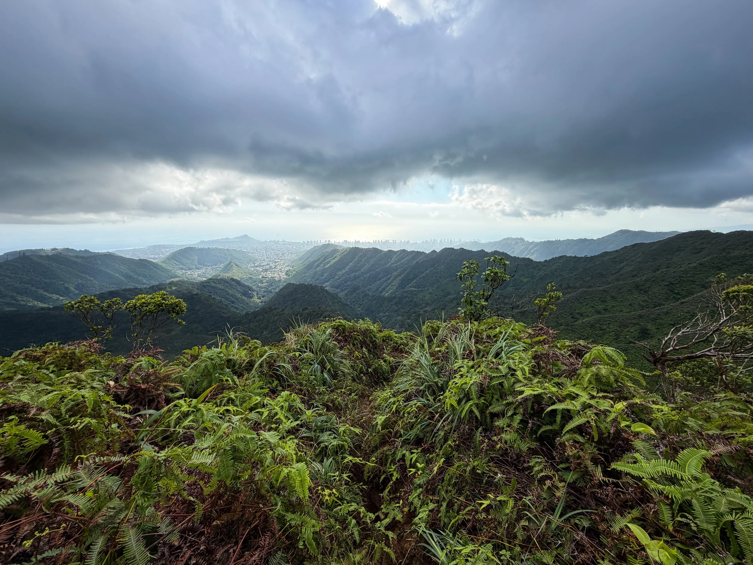 Kaau Crater Loop Trail Oahu Hawaii