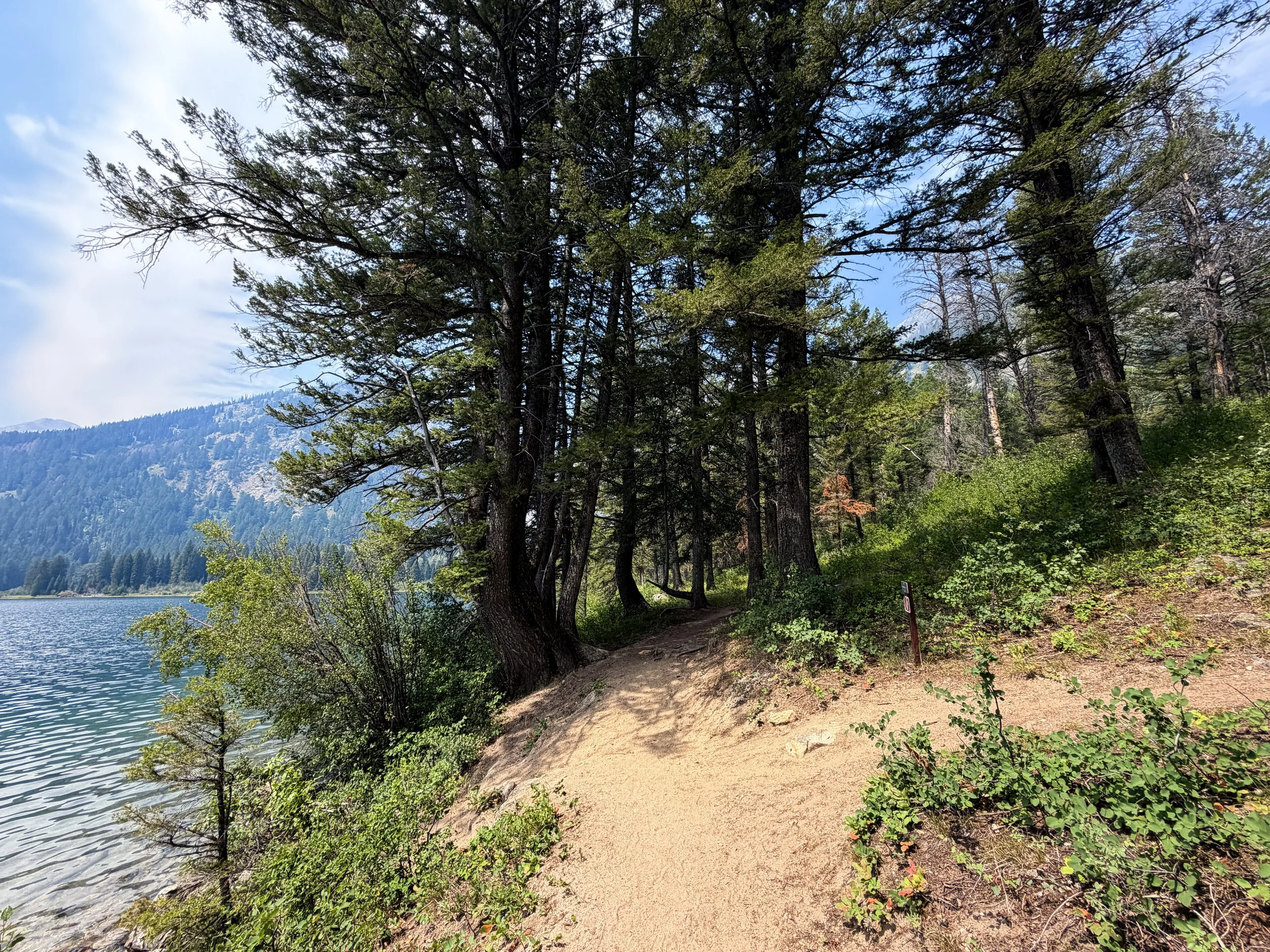 Campsites Phelps Lake Loop Trail Grand Teton National Park Wyoming