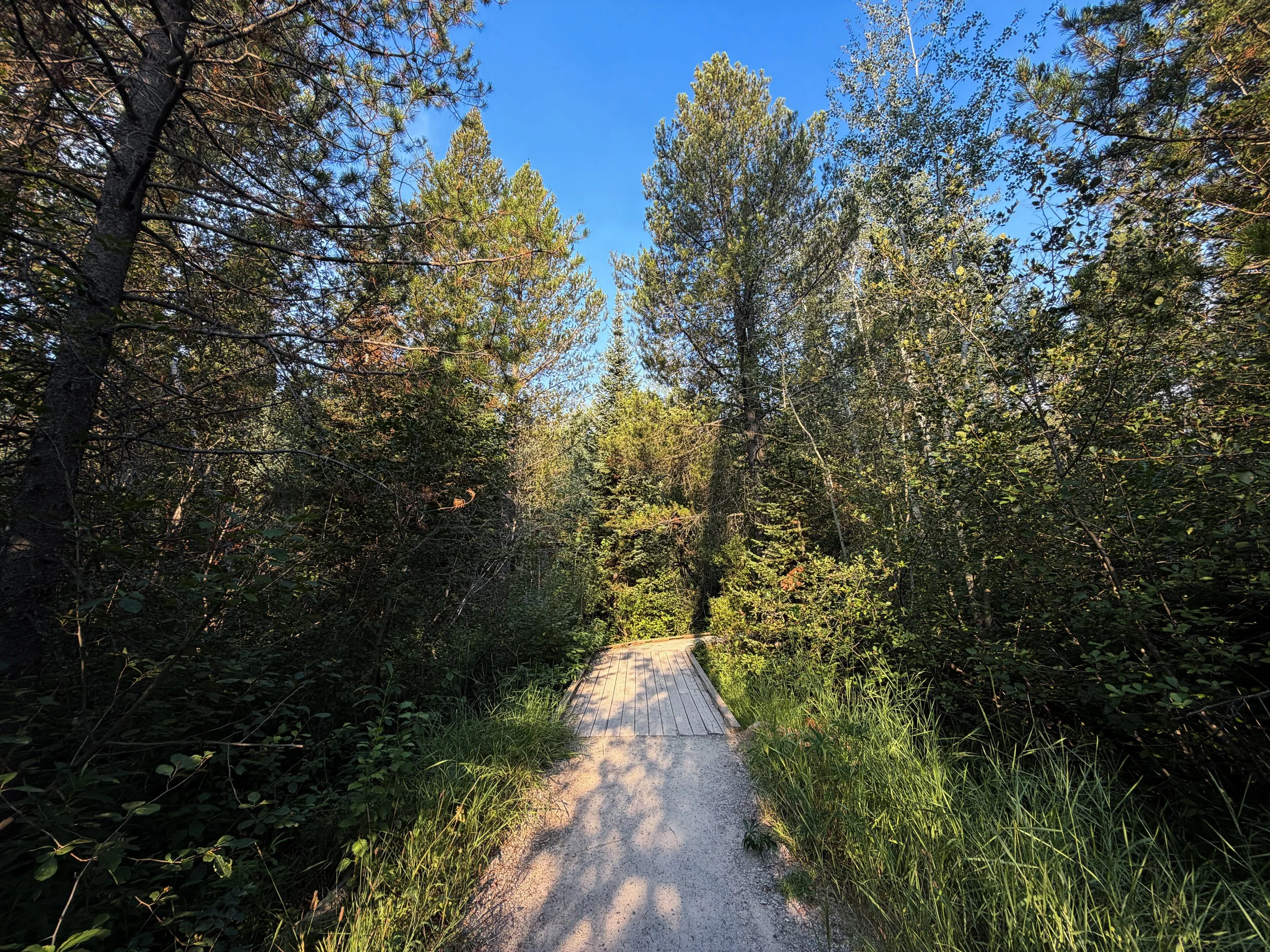 Aspen Ridge Trail Grand Teton National Park Wyoming