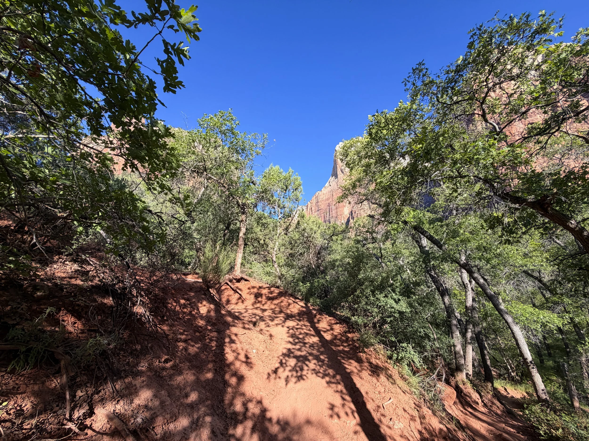 Sand Bench Trail Zion National Park Utah