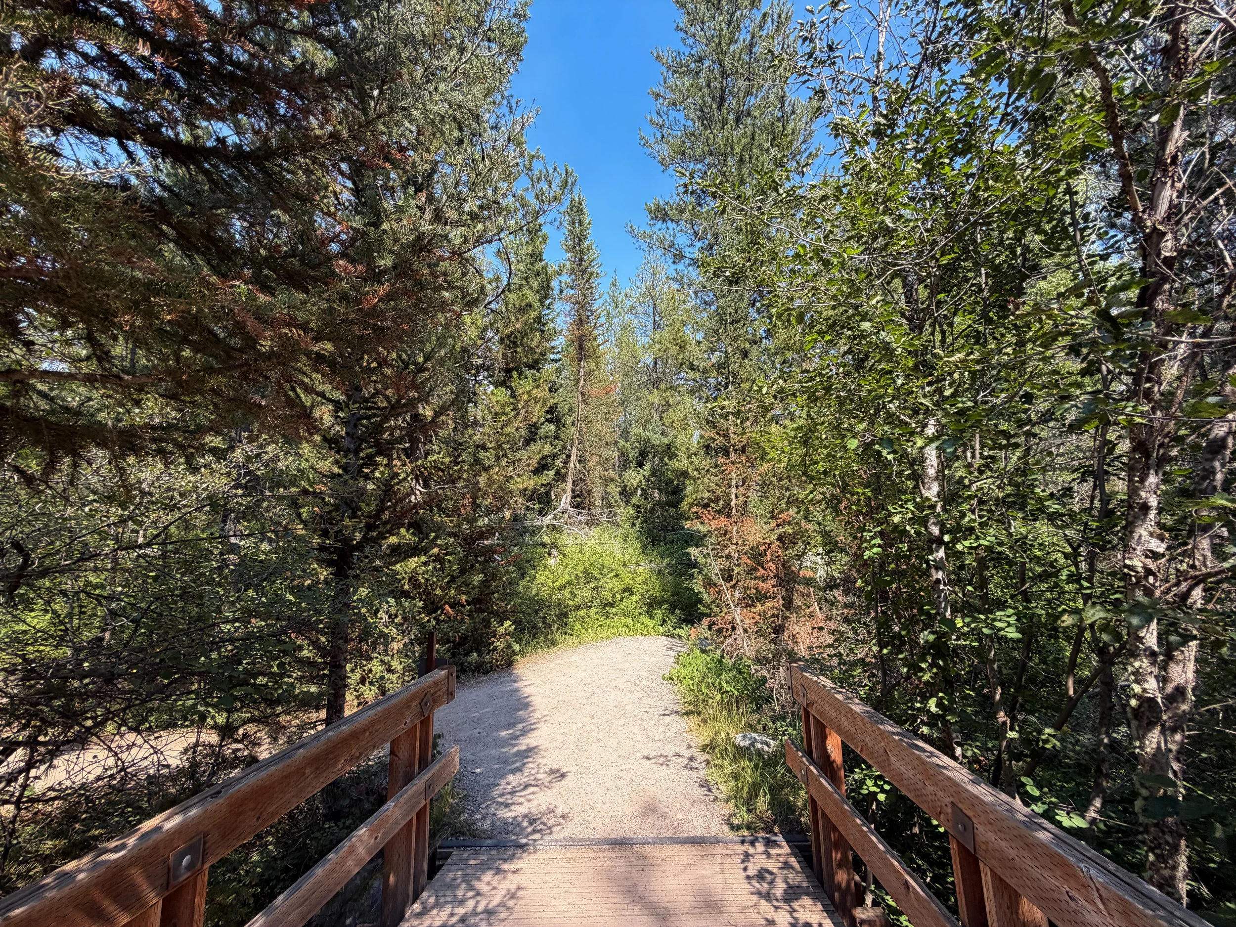 Phelps Lake Loop Trail Grand Teton National Park Wyoming