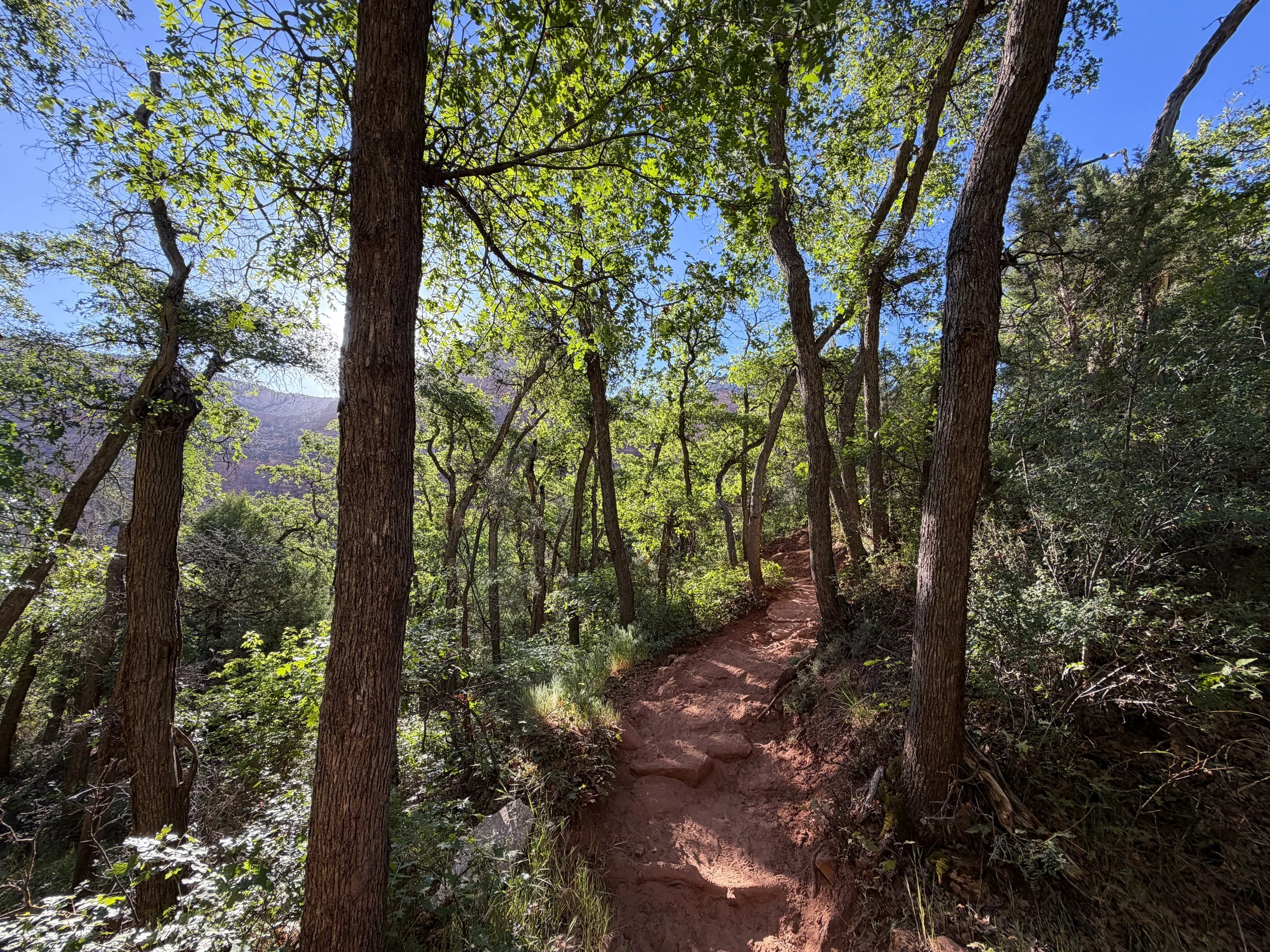 Sand Bench Trail Zion National Park Utah