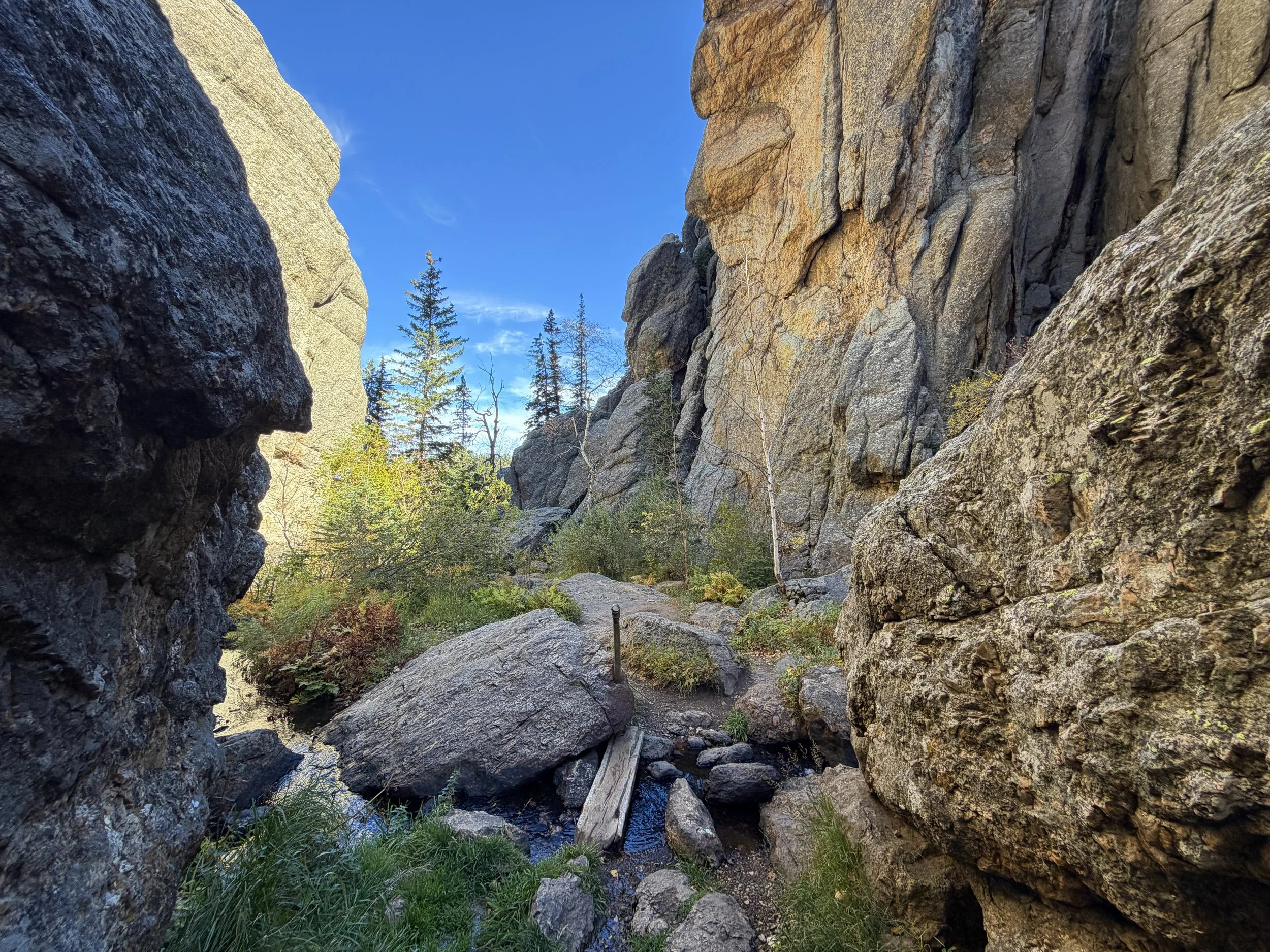 Sunday Gulch Trail Custer State Park Black Hills South Dakota