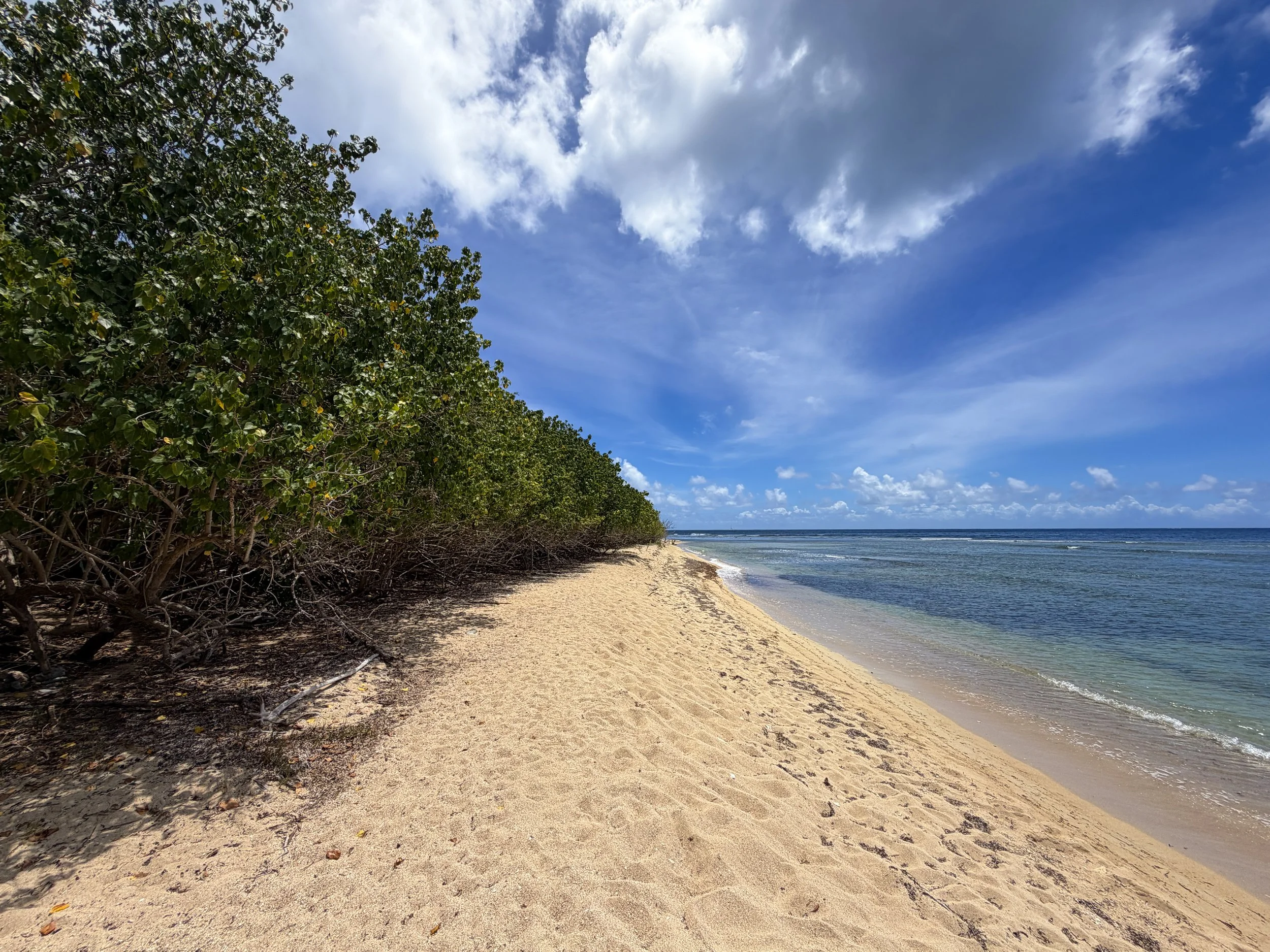 Reef Bay Beach Virgin Islands National Park