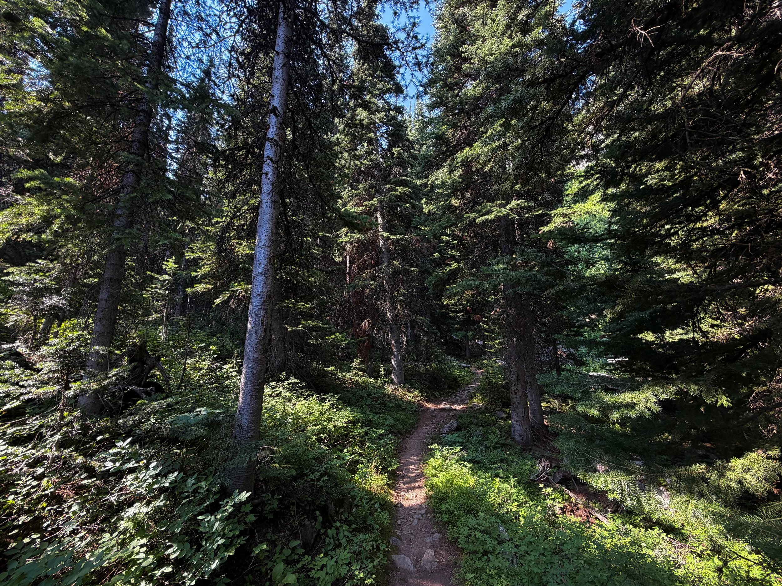 East Rosebud Trail The Beaten Path Beartooth Mountains Montana