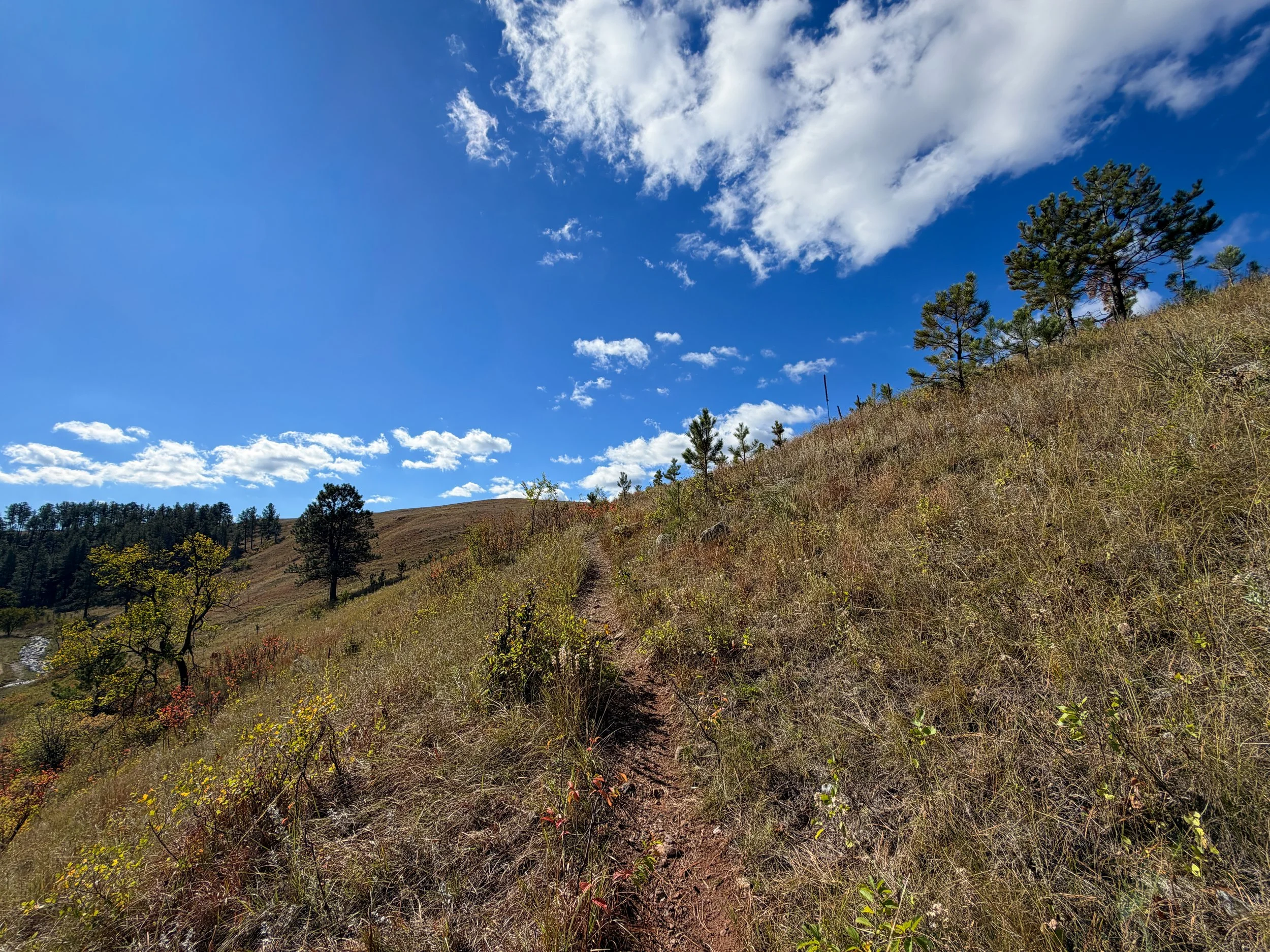 Lookout Point Loop Trail Wind Cave National Park South Dakota