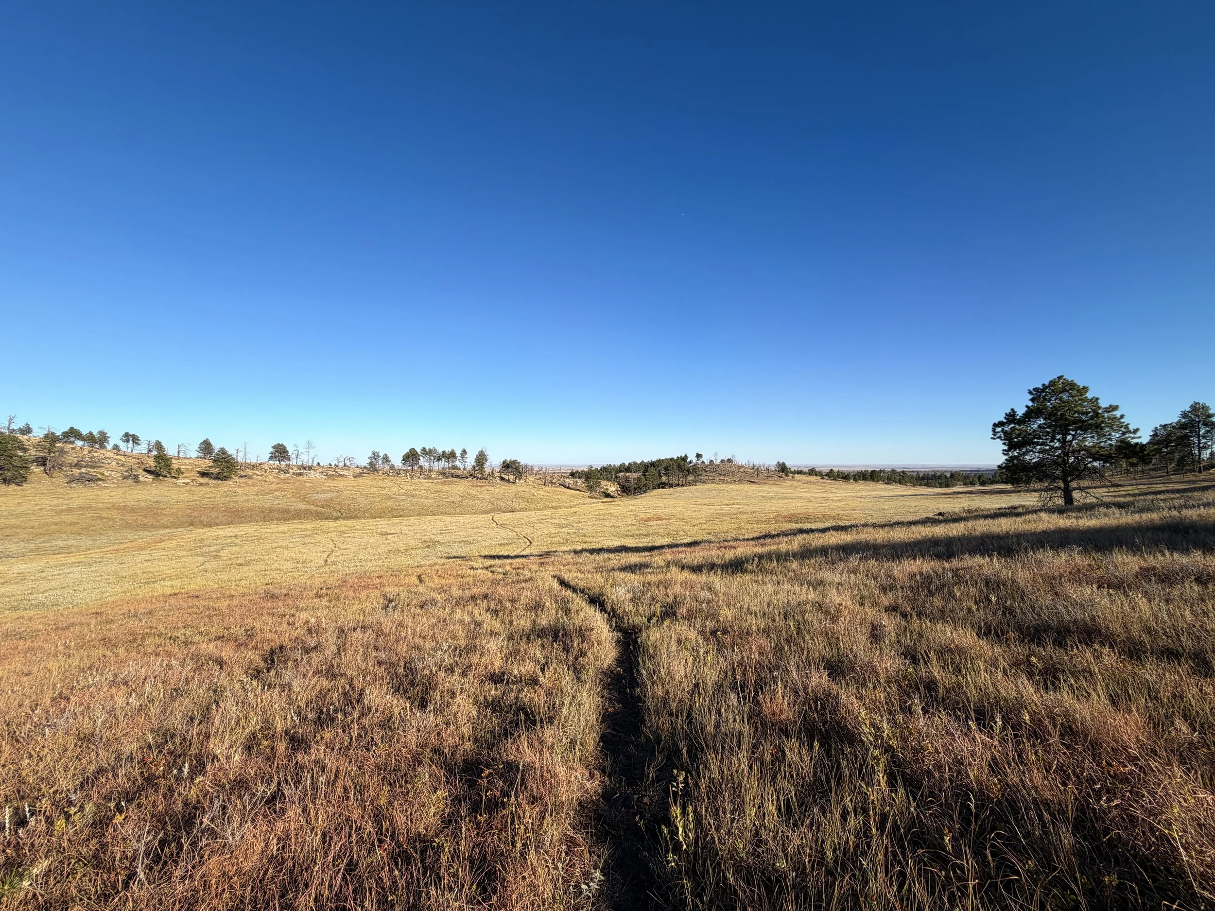 Boland Ridge Trail Wind Cave National Park South Dakota