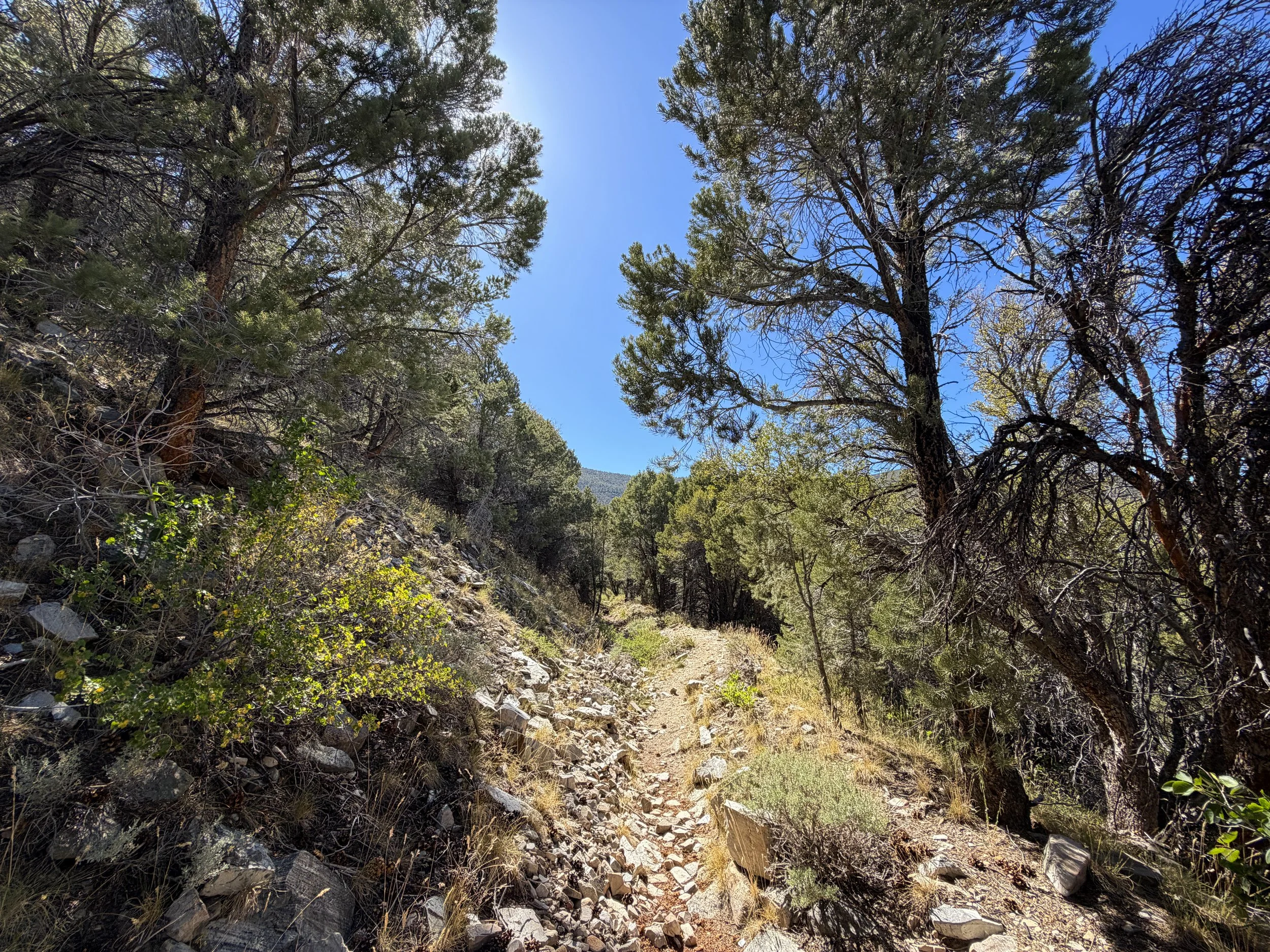 Osceola Ditch Hike Great Basin National Park Nevada