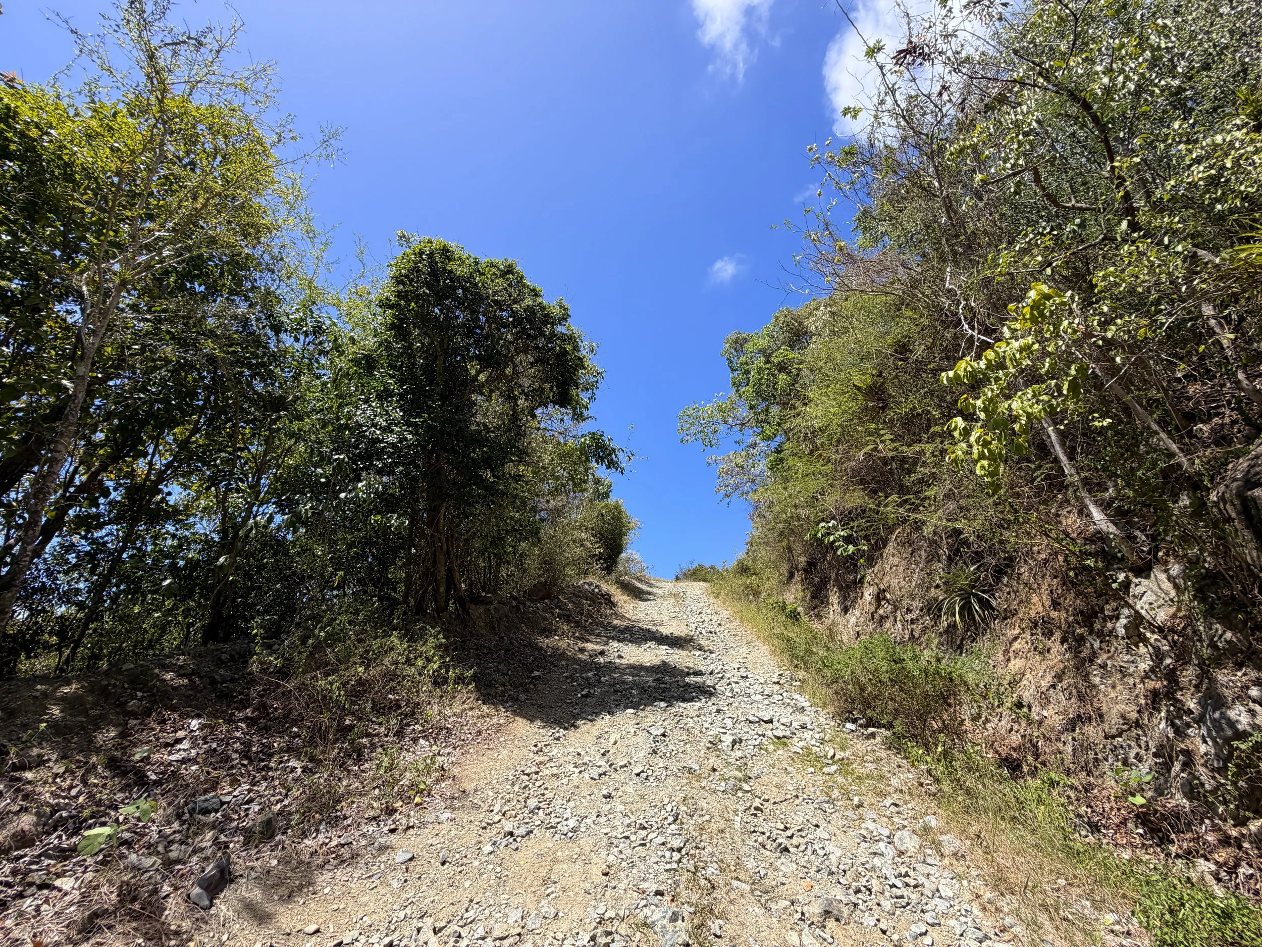 Johnny Horn Trail Virgin Islands National Park