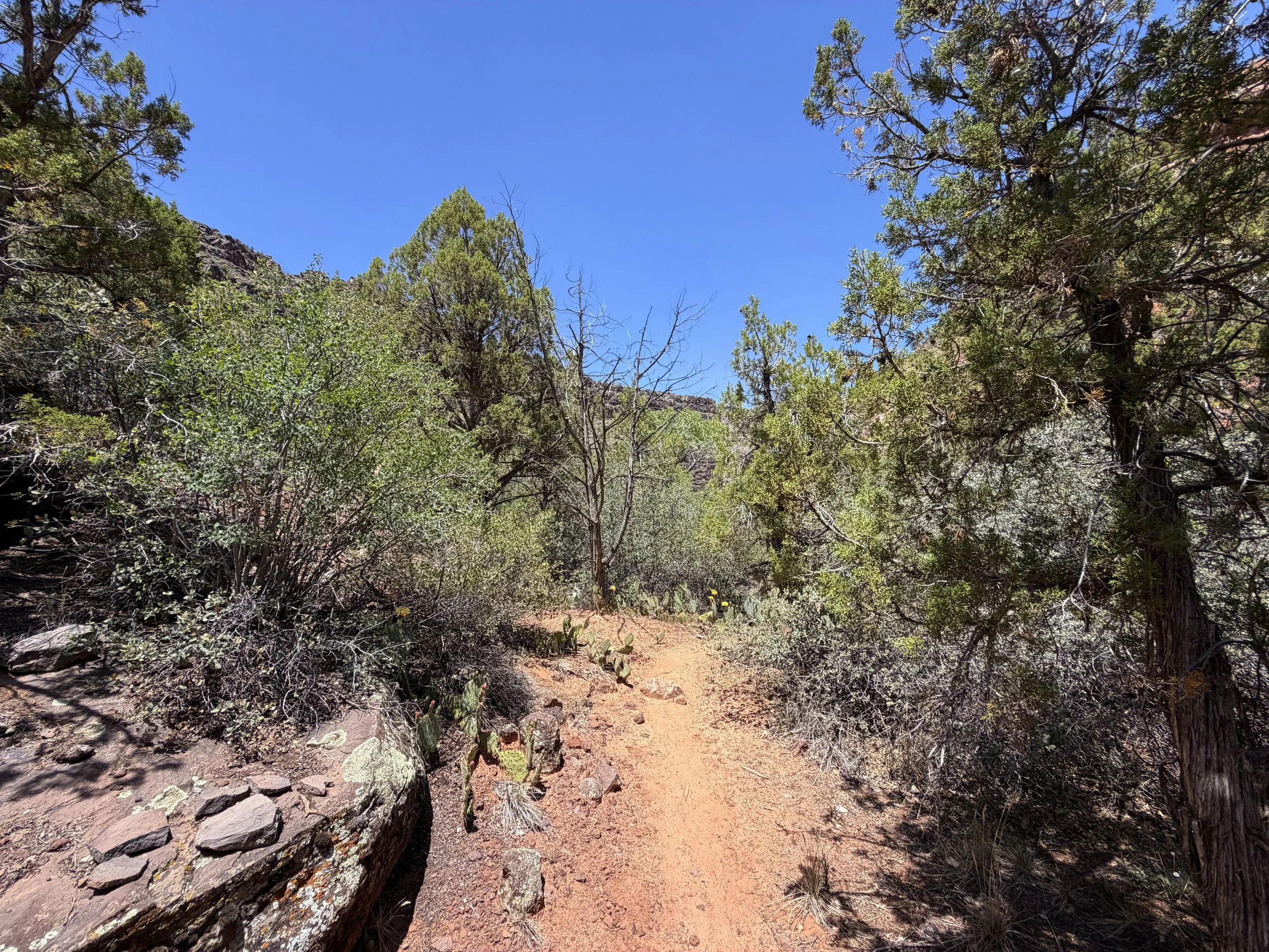 Grapevine Trail to Left Fork Falls Zion National Park Utah