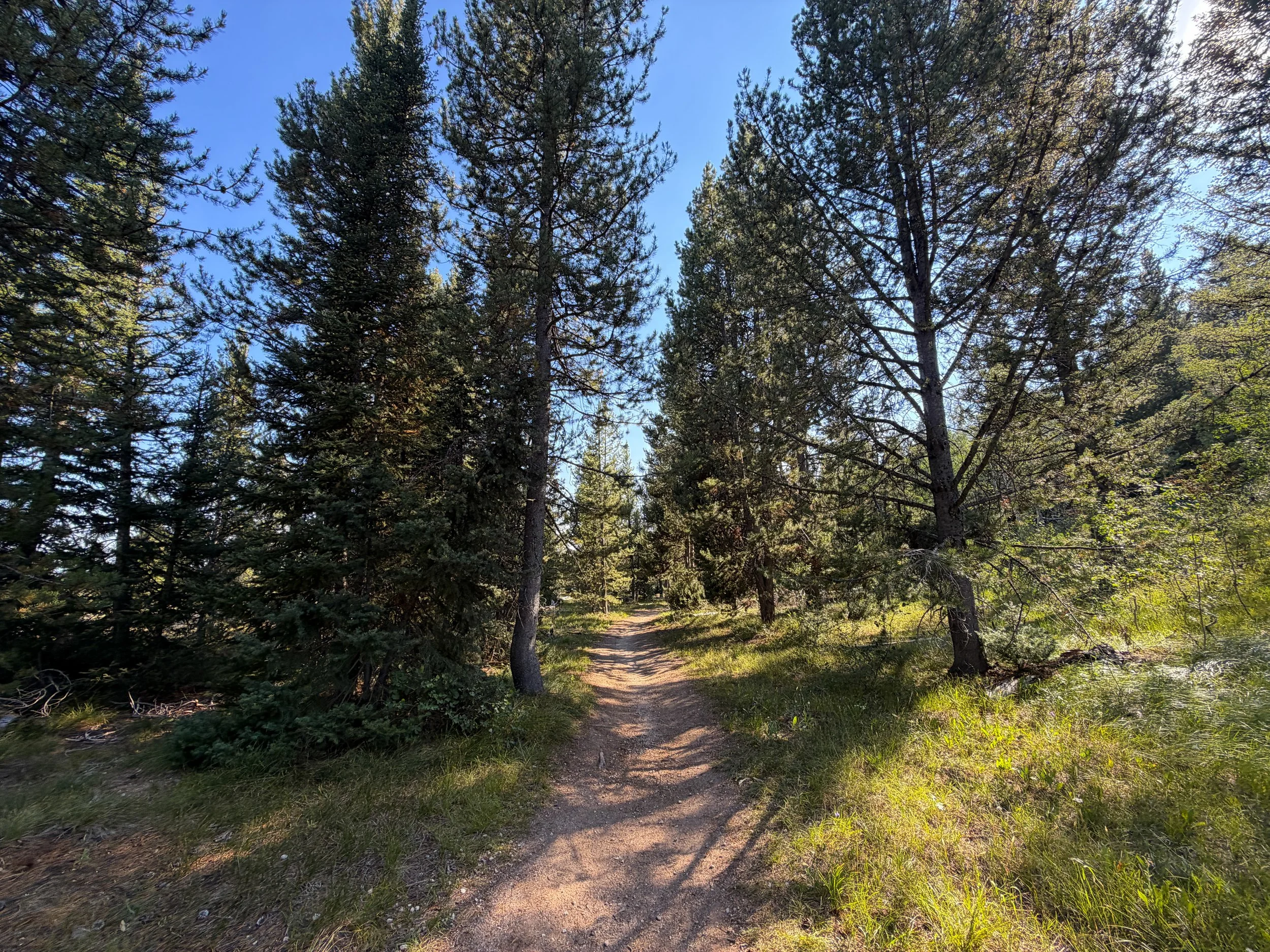Moose Ponds Loop Trail Grand Teton National Park Wyoming
