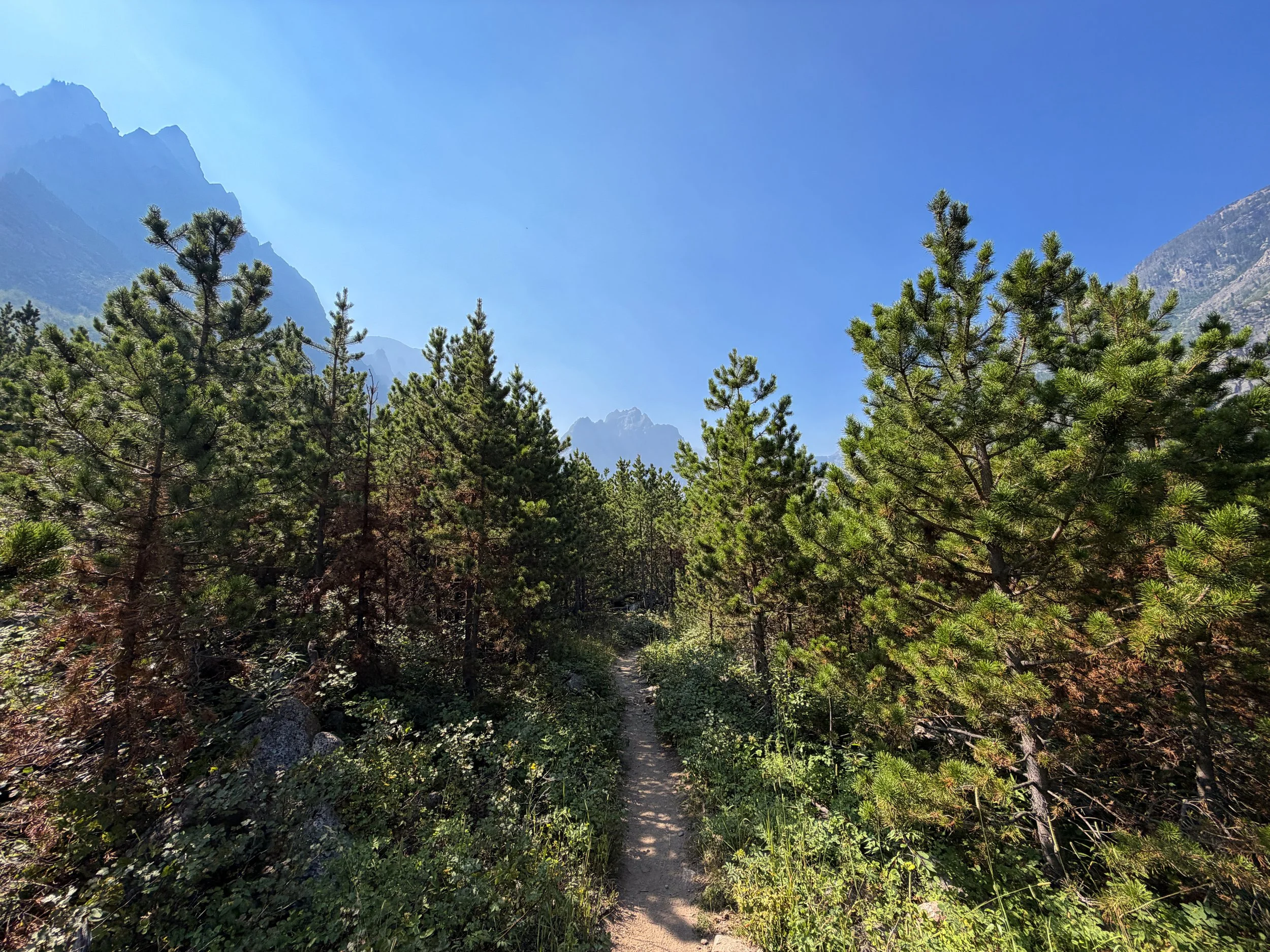 Beaten Path Trail Beartooth Mountains Montana